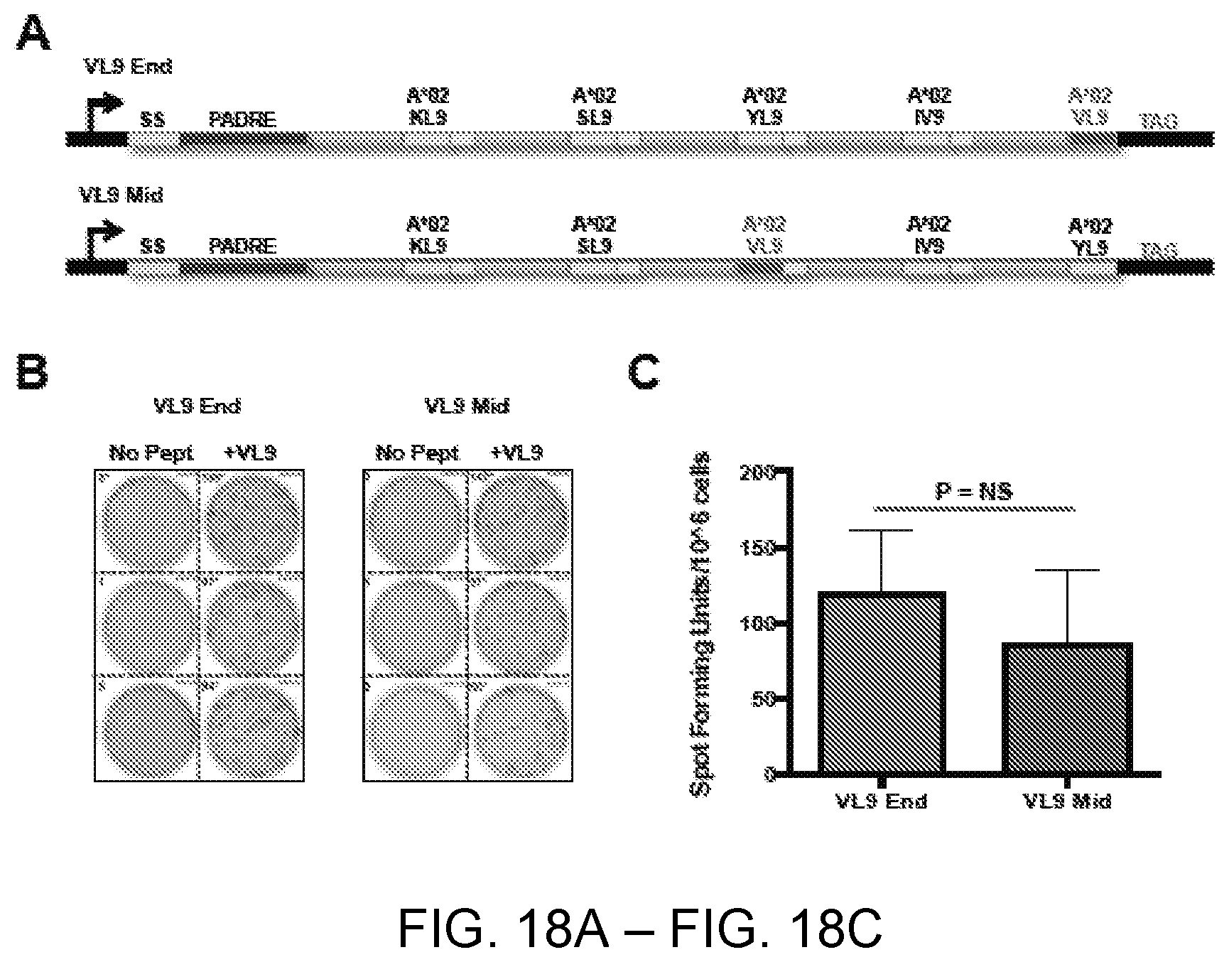 Patent US12551547 Figure 18 – Highly networked immunogen composition