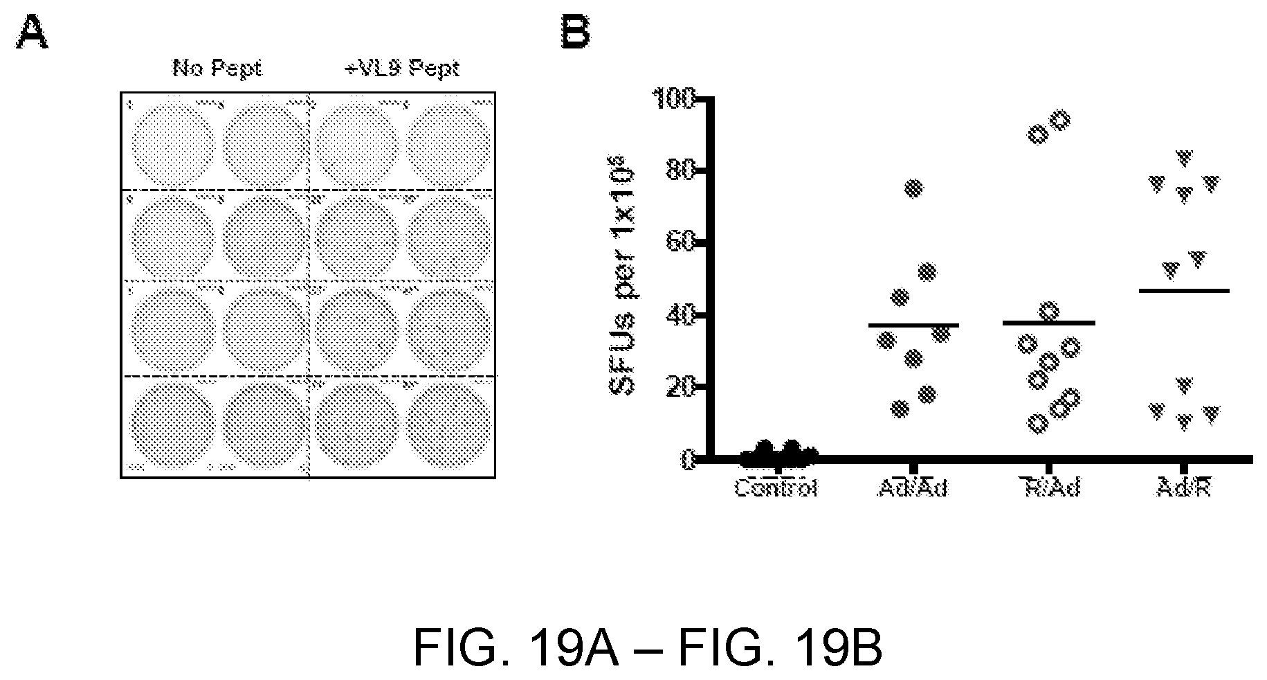 Patent US12551547 Figure 19 – Highly networked immunogen composition