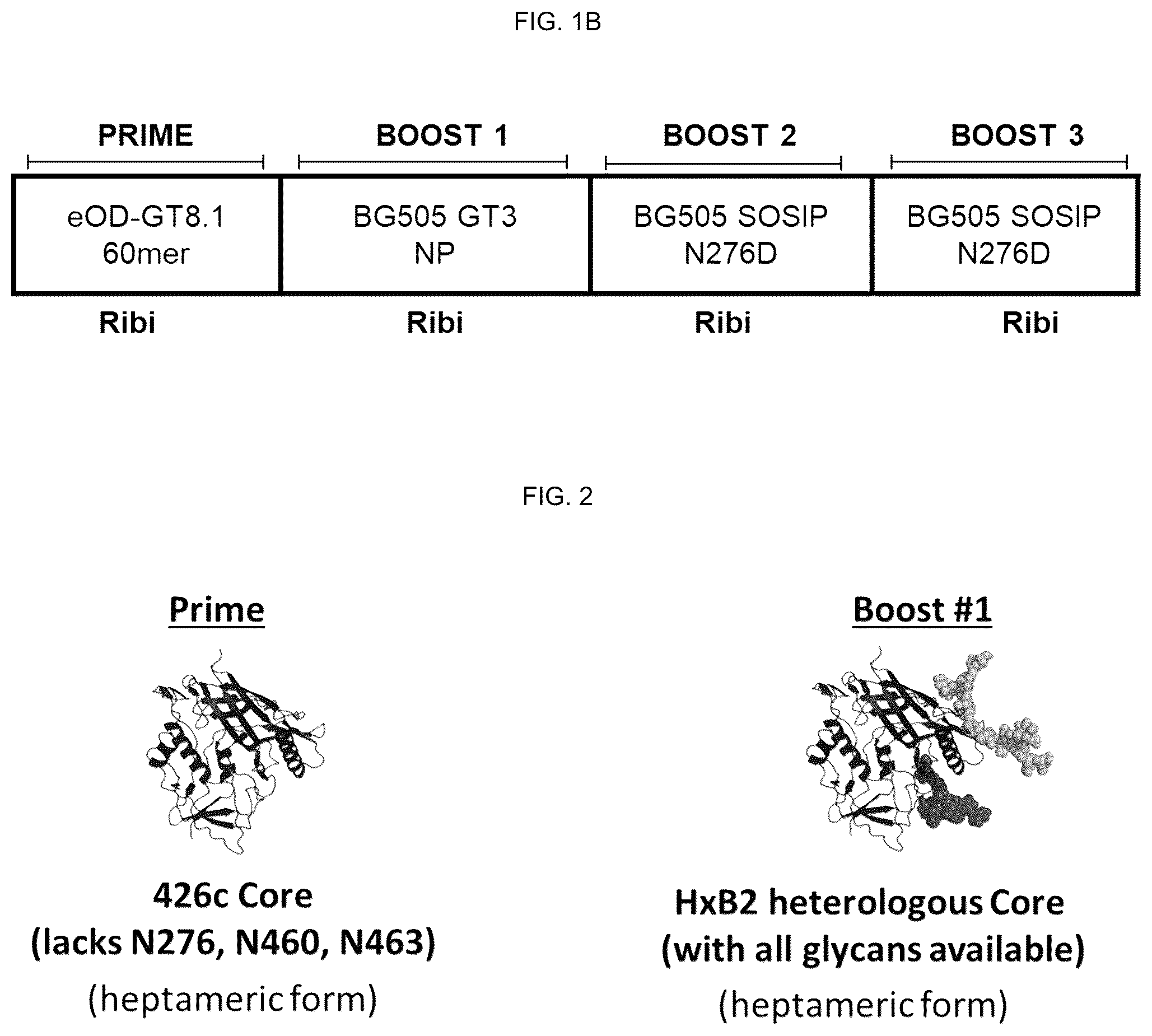 Patent US12551549 Figure 2 – Methods of eliciting antibodies that bind to full-length glycosylated HIV-1 ENV using multimerized ENV cores