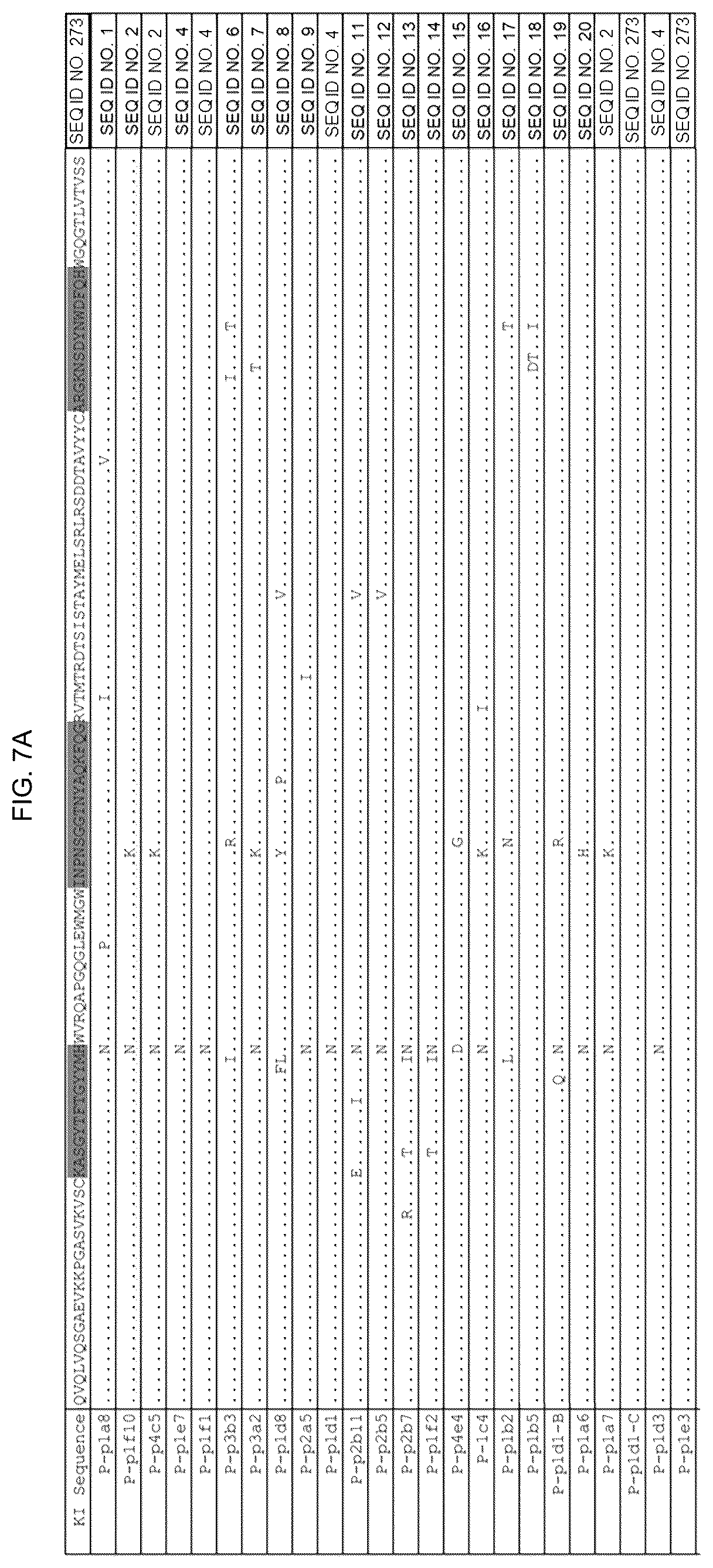 Patent US12551549 Figure 19 – Methods of eliciting antibodies that bind to full-length glycosylated HIV-1 ENV using multimerized ENV cores