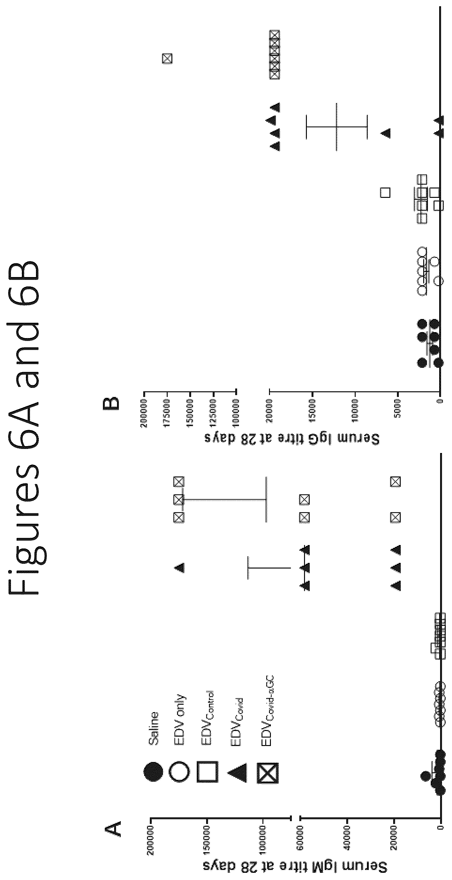 Patent US12551550 Figure 10 – Compositions and vaccines for treating and/or preventing coronavirus variant infections and methods of using the same