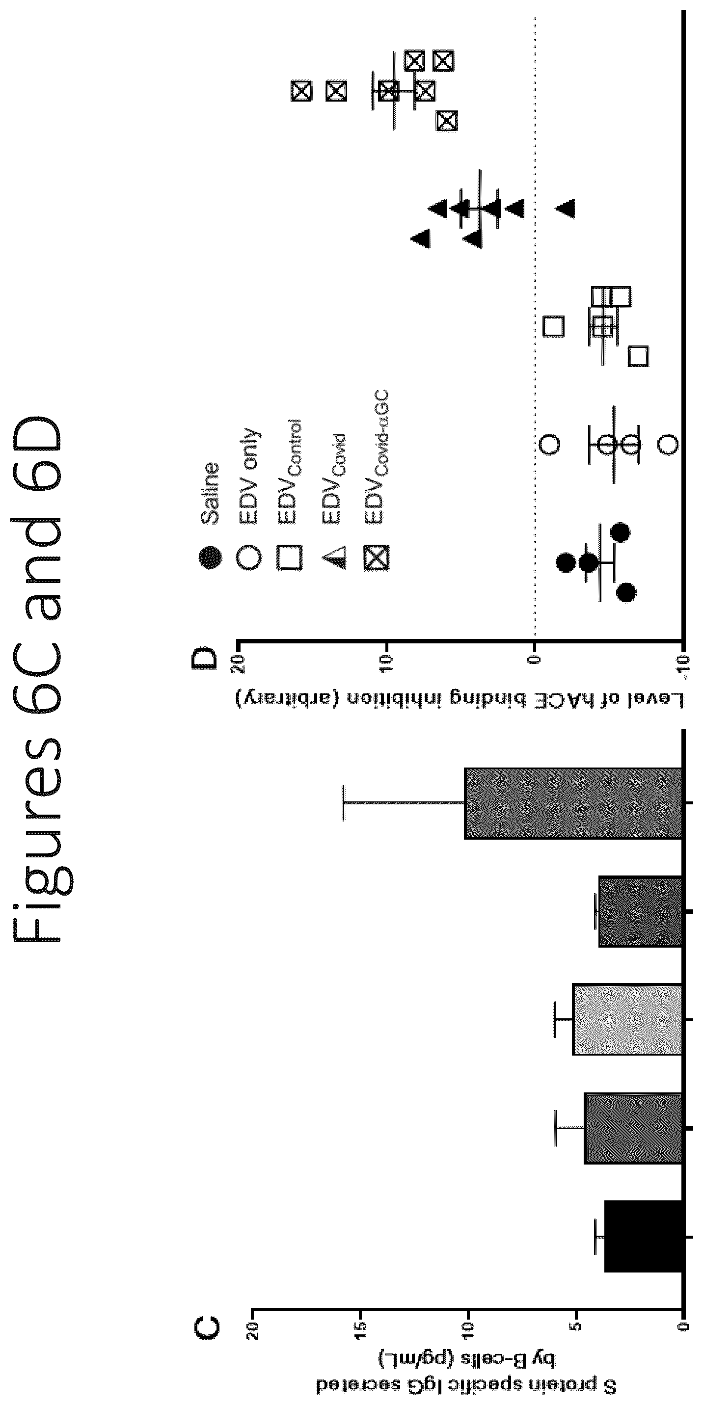Patent US12551550 Figure 11 – Compositions and vaccines for treating and/or preventing coronavirus variant infections and methods of using the same