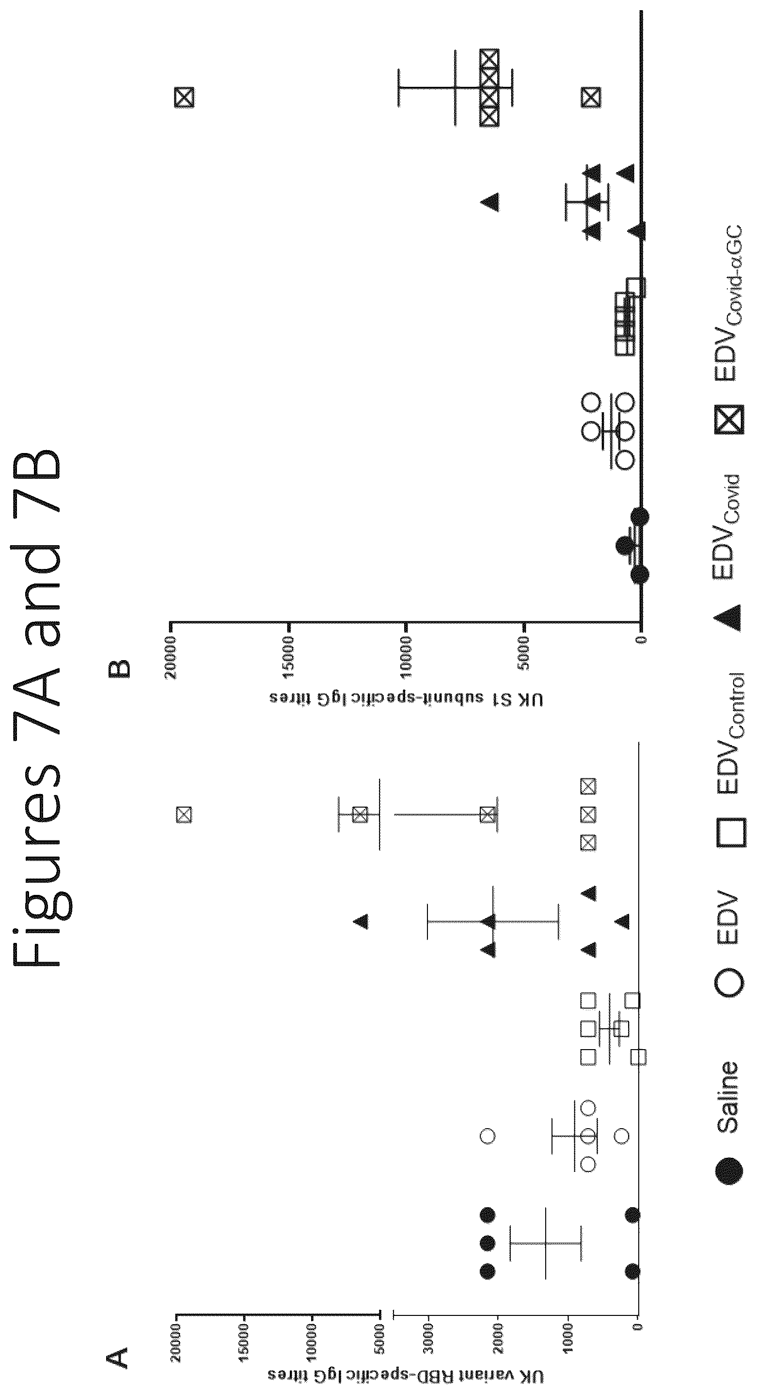Patent US12551550 Figure 13 – Compositions and vaccines for treating and/or preventing coronavirus variant infections and methods of using the same