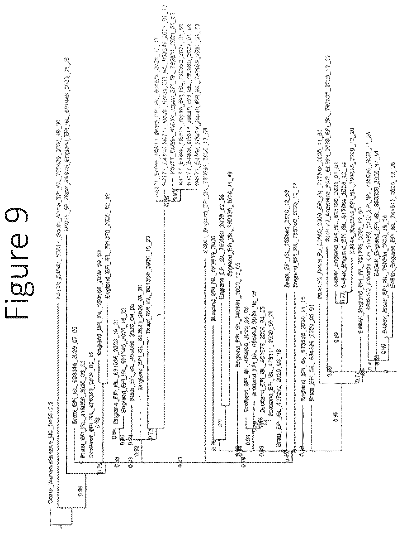 Patent US12551550 Figure 16 – Compositions and vaccines for treating and/or preventing coronavirus variant infections and methods of using the same