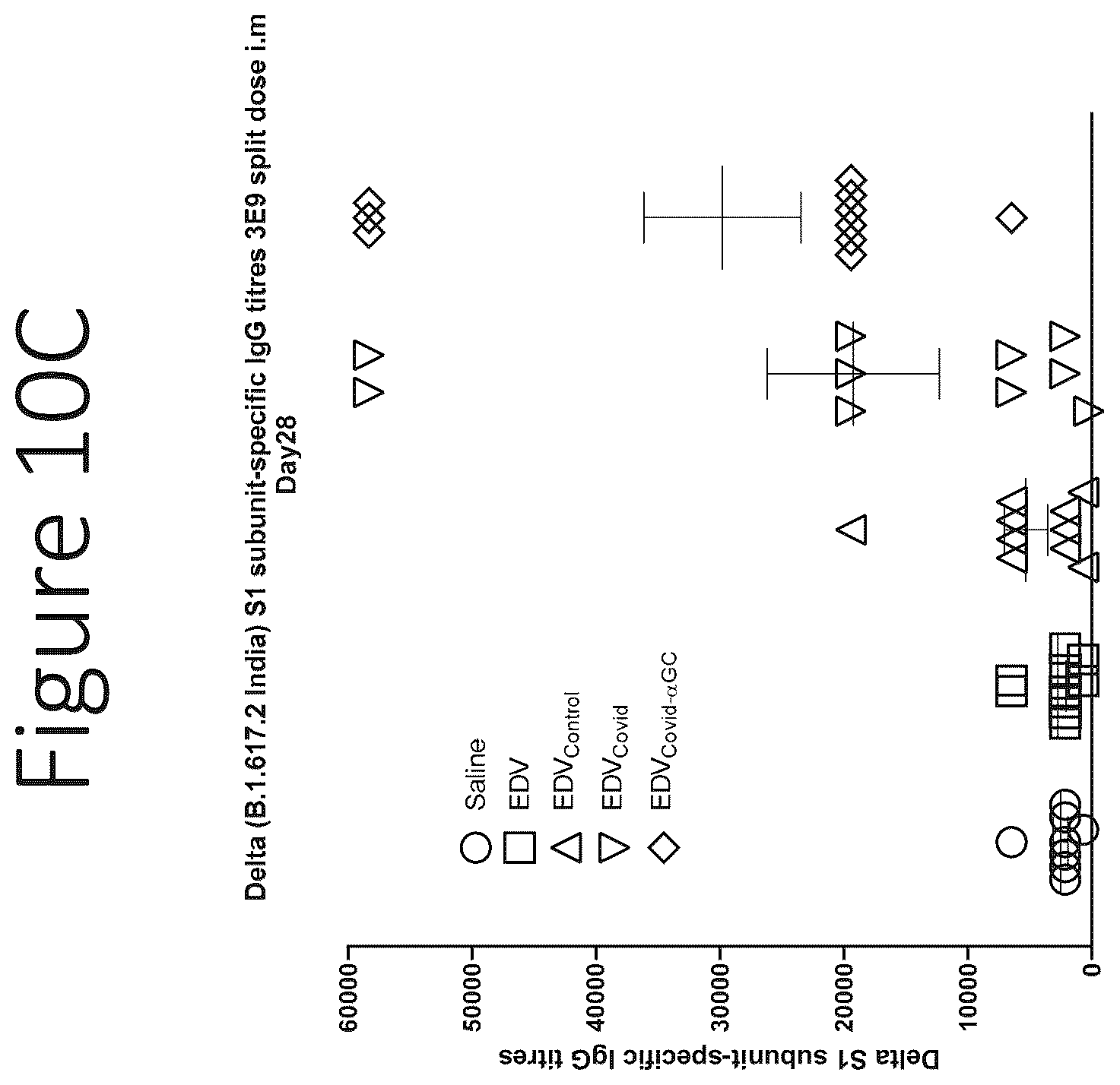 Patent US12551550 Figure 19 – Compositions and vaccines for treating and/or preventing coronavirus variant infections and methods of using the same