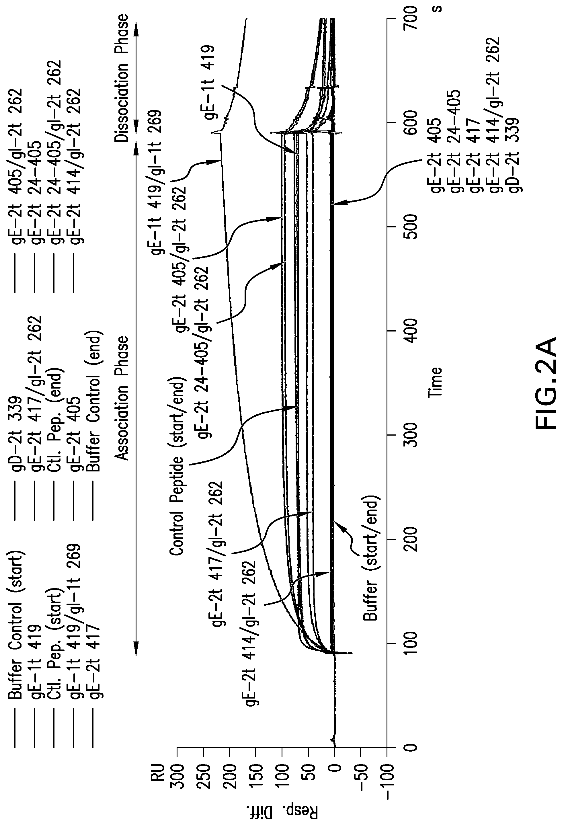 Patent US12551552 Figure 3 – Antigenic glycoprotein E polypeptides, compositions, and methods of use thereof