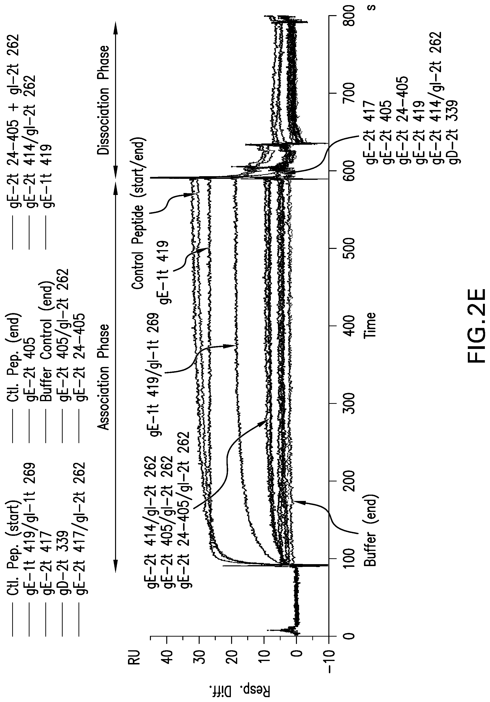 Patent US12551552 Figure 7 – Antigenic glycoprotein E polypeptides, compositions, and methods of use thereof
