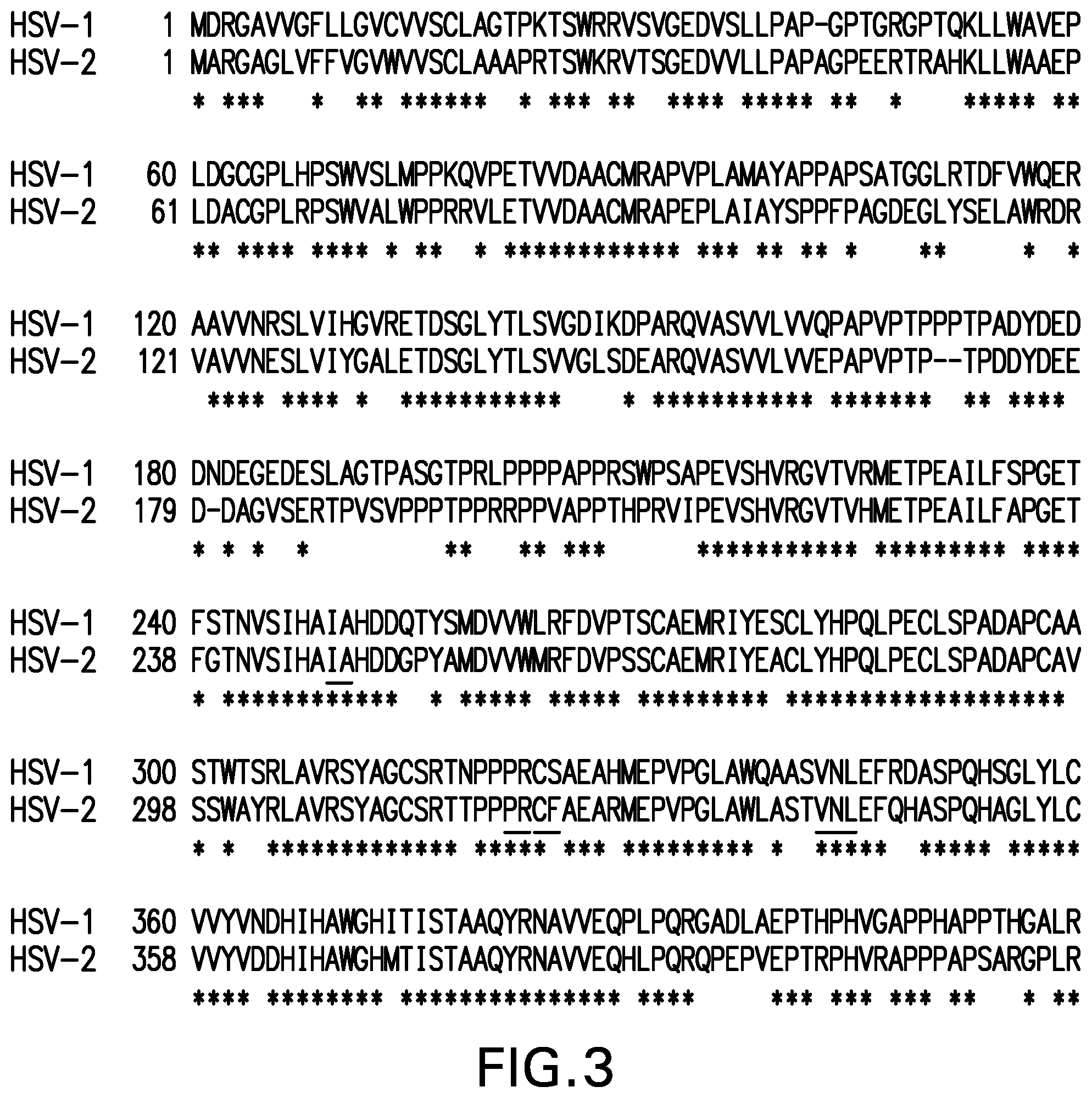 Patent US12551552 Figure 8 – Antigenic glycoprotein E polypeptides, compositions, and methods of use thereof