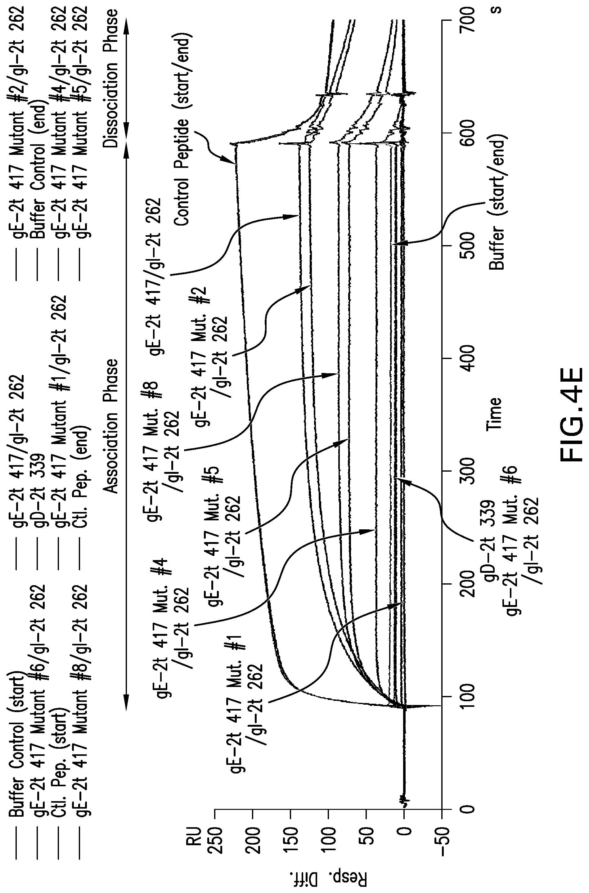 Patent US12551552 Figure 13 – Antigenic glycoprotein E polypeptides, compositions, and methods of use thereof