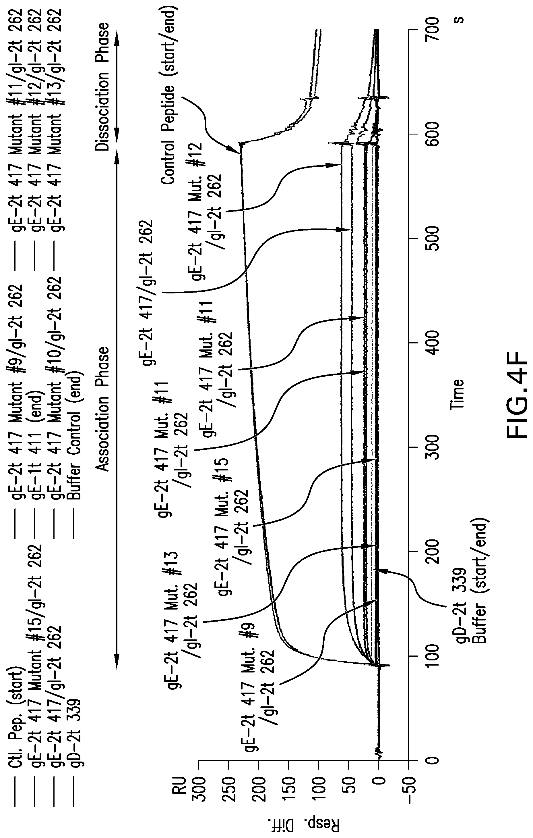 Patent US12551552 Figure 14 – Antigenic glycoprotein E polypeptides, compositions, and methods of use thereof