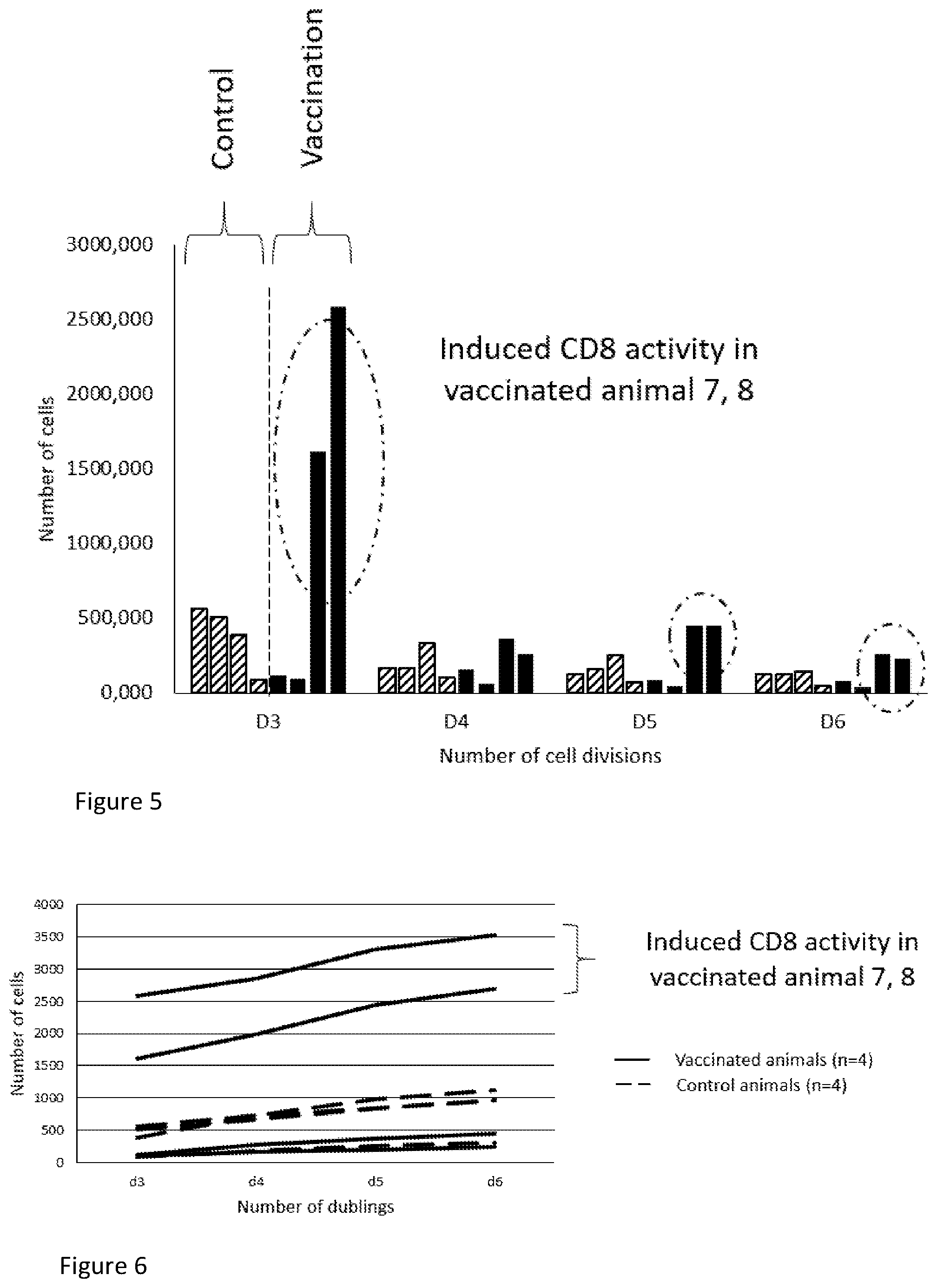 Patent US12551556 Figure 5 – Endogenous tumor-derived circular RNA and proteins thereof for use as vaccine