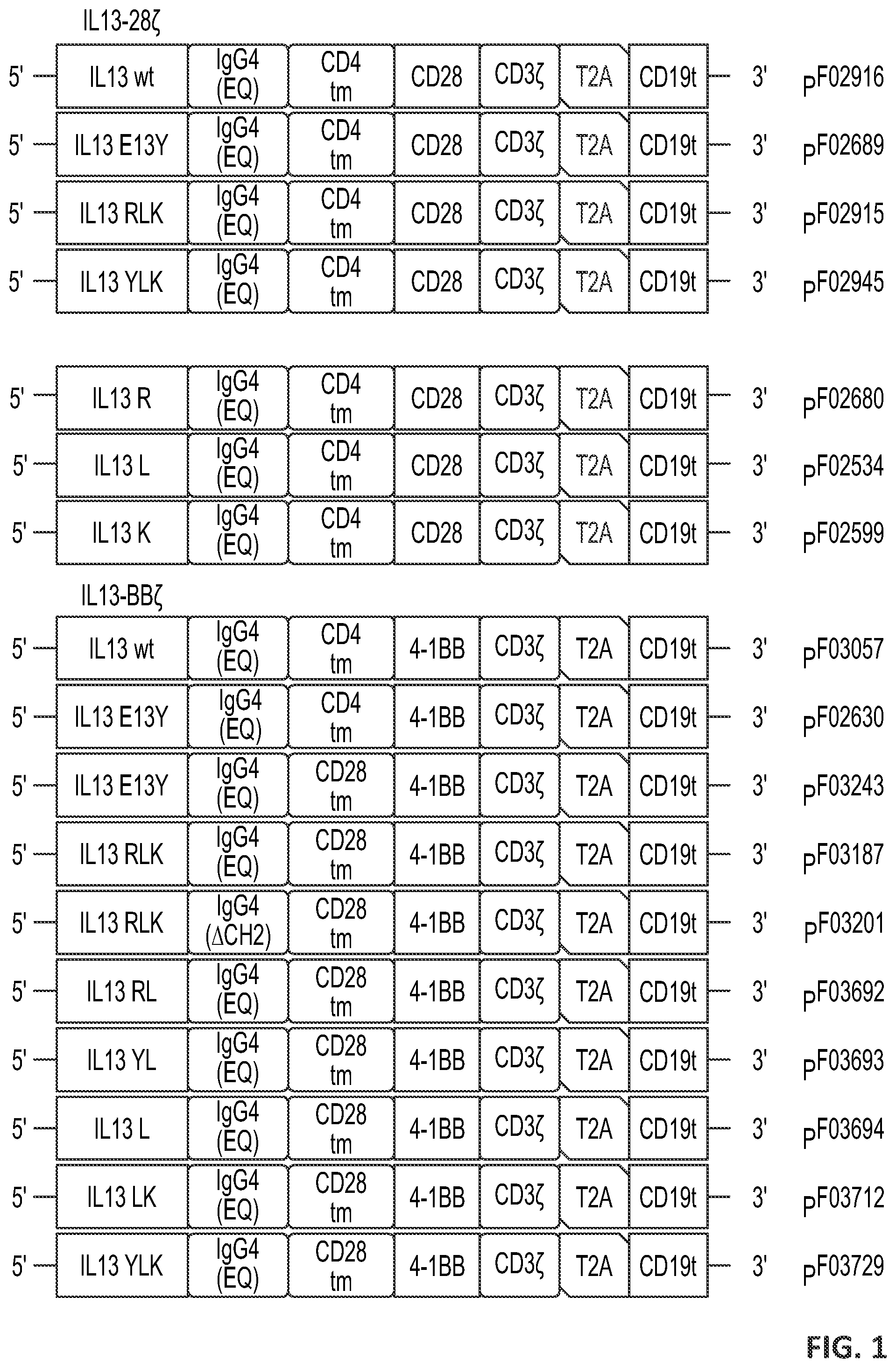 Patent US12551557 Figure 1 – Targeted chimeric antigen receptor modified T cells for treatment of IL13RALPHA2 positive malignancies