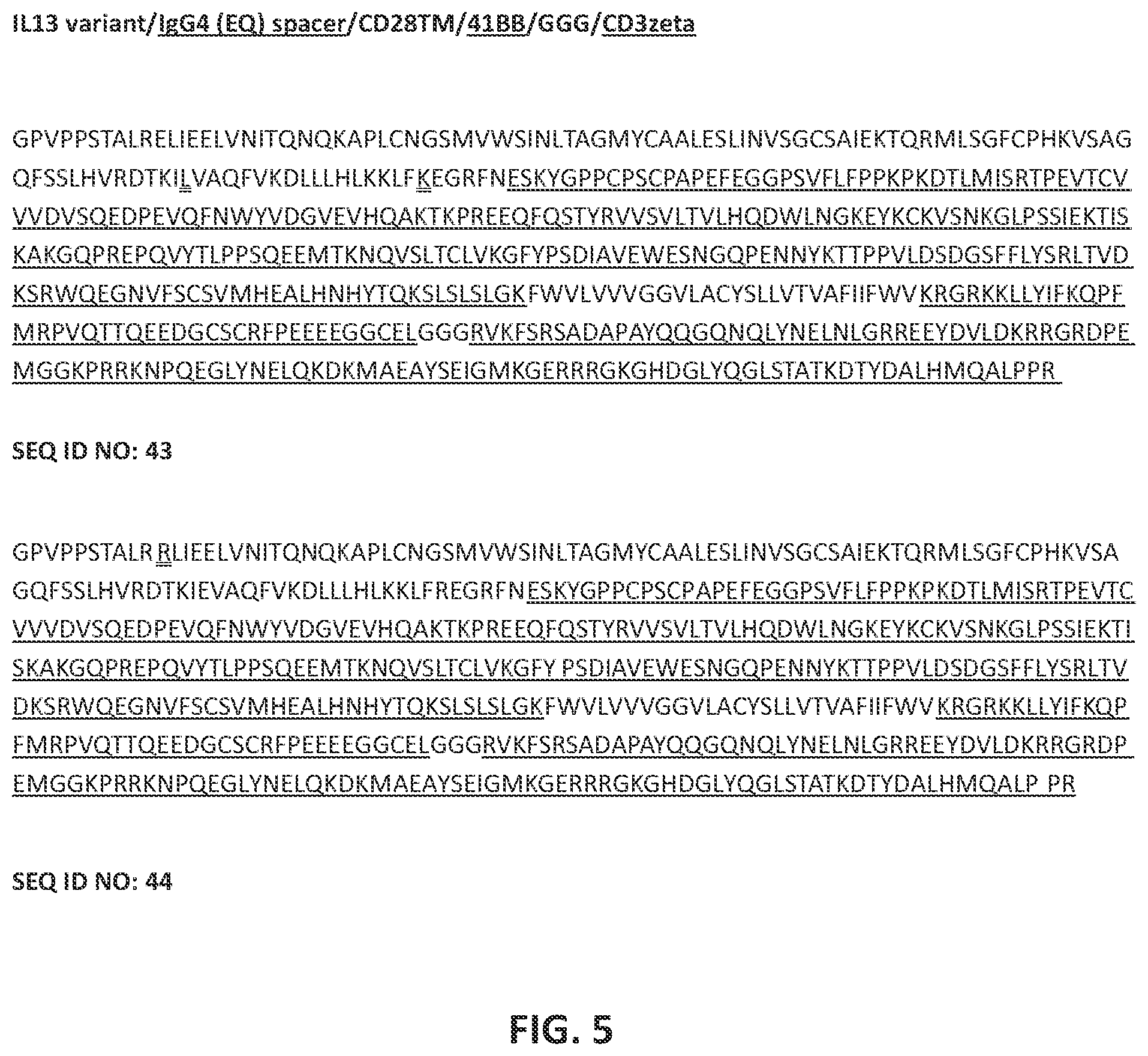 Patent US12551557 Figure 5 – Targeted chimeric antigen receptor modified T cells for treatment of IL13RALPHA2 positive malignancies