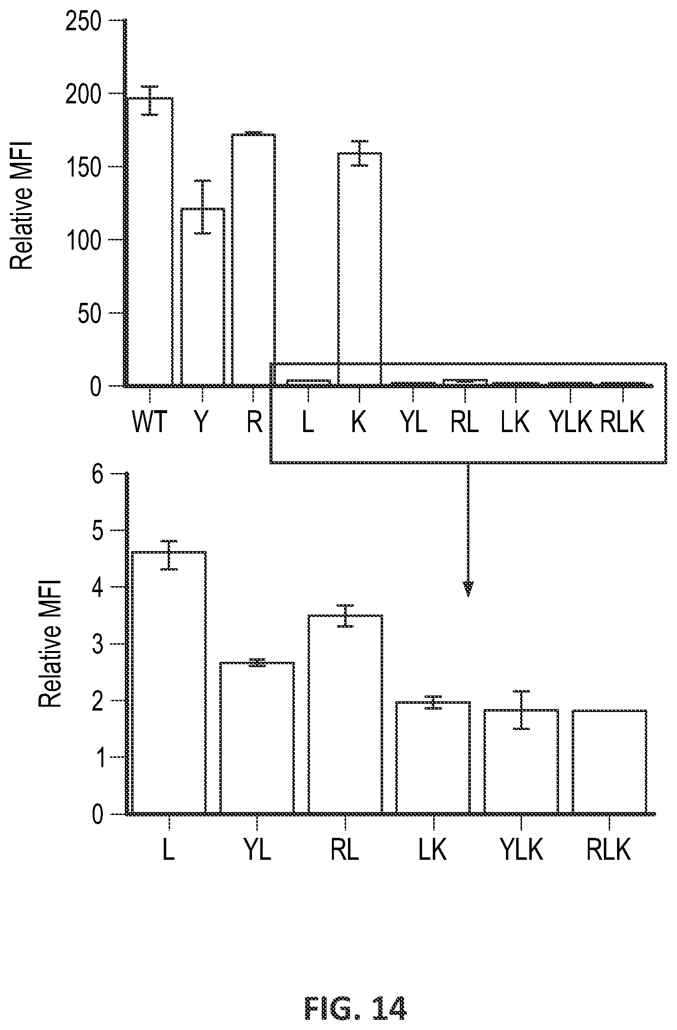Patent US12551557 Figure 14 – Targeted chimeric antigen receptor modified T cells for treatment of IL13RALPHA2 positive malignancies