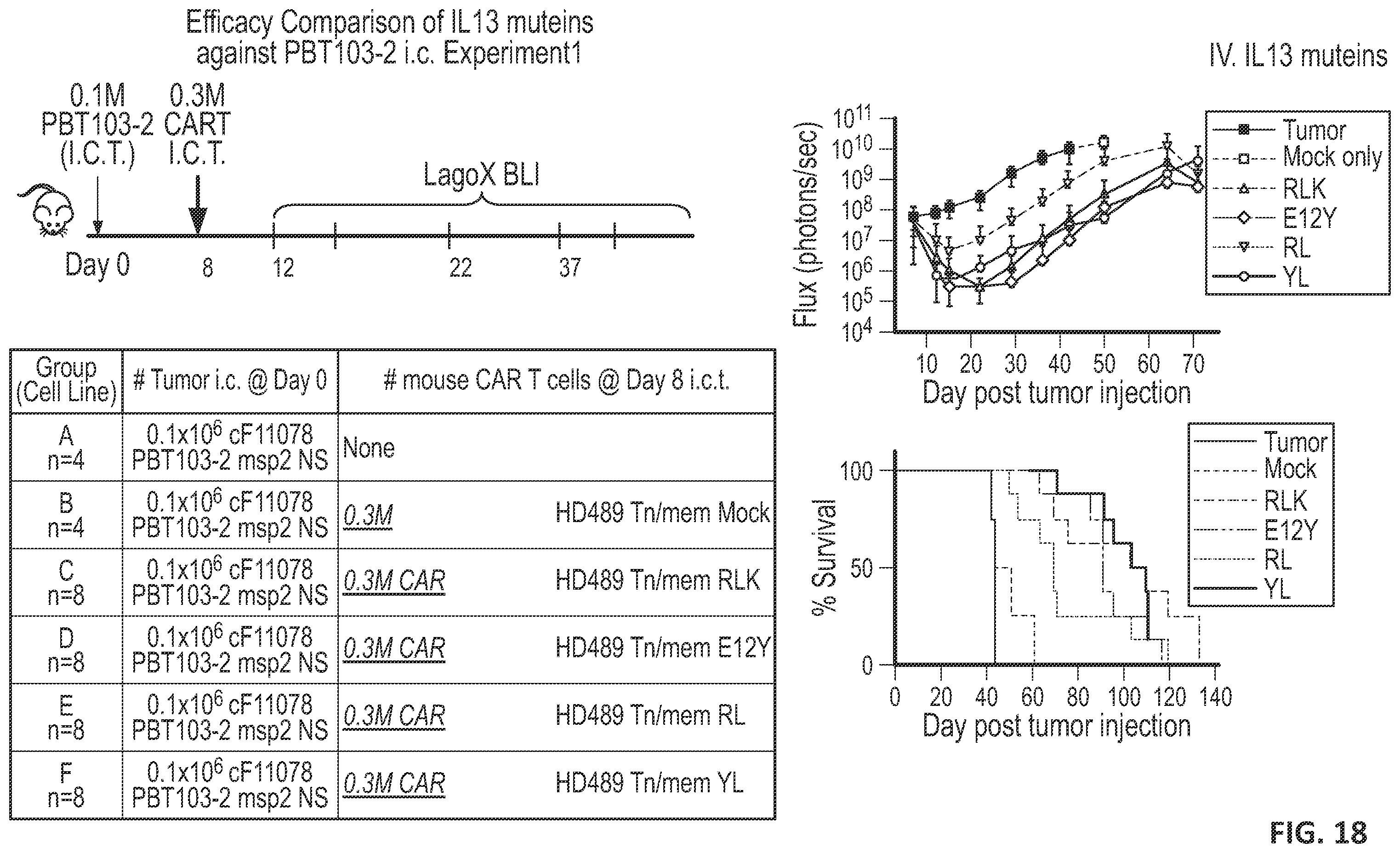 Patent US12551557 Figure 18 – Targeted chimeric antigen receptor modified T cells for treatment of IL13RALPHA2 positive malignancies