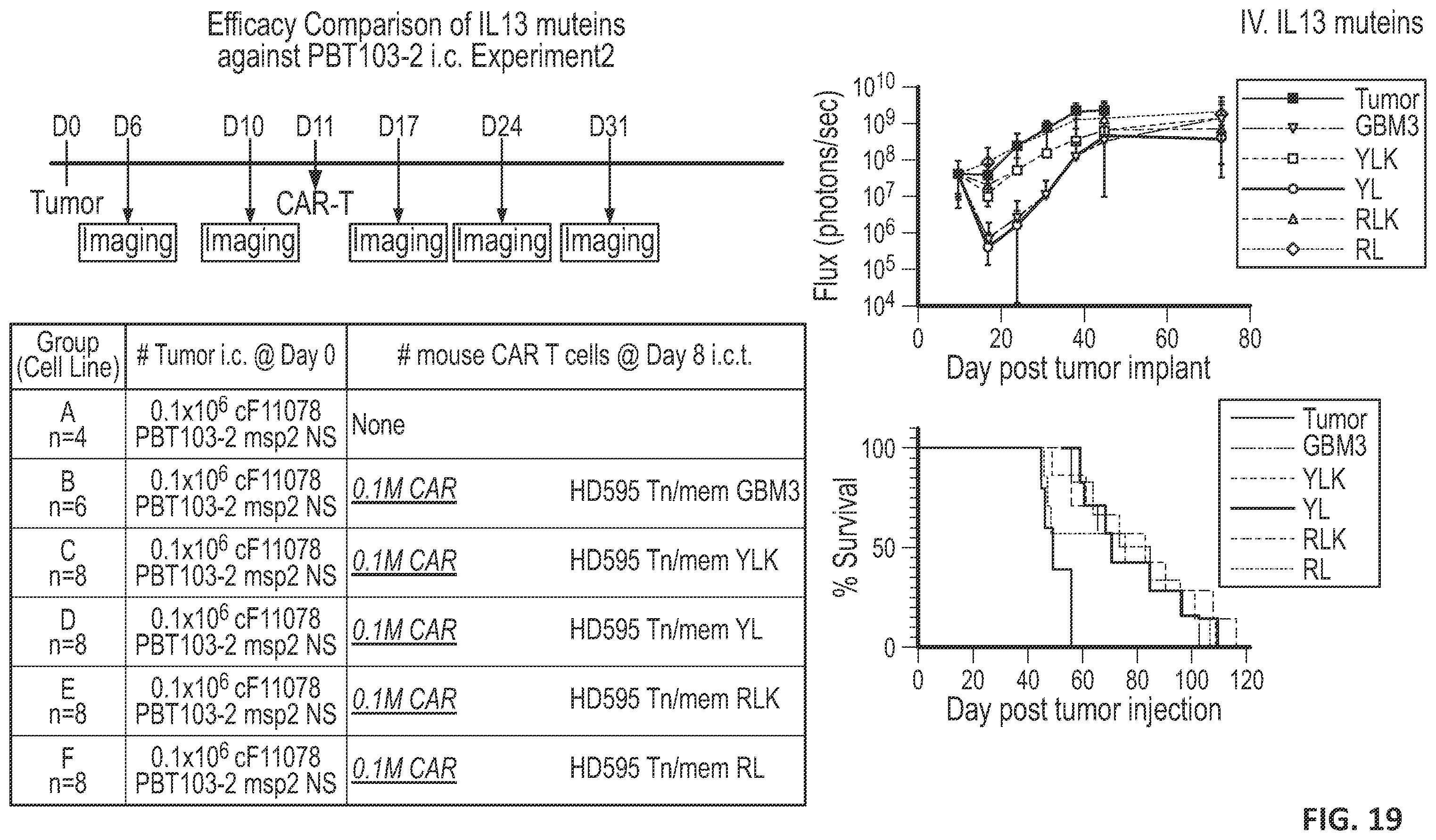 Patent US12551557 Figure 19 – Targeted chimeric antigen receptor modified T cells for treatment of IL13RALPHA2 positive malignancies