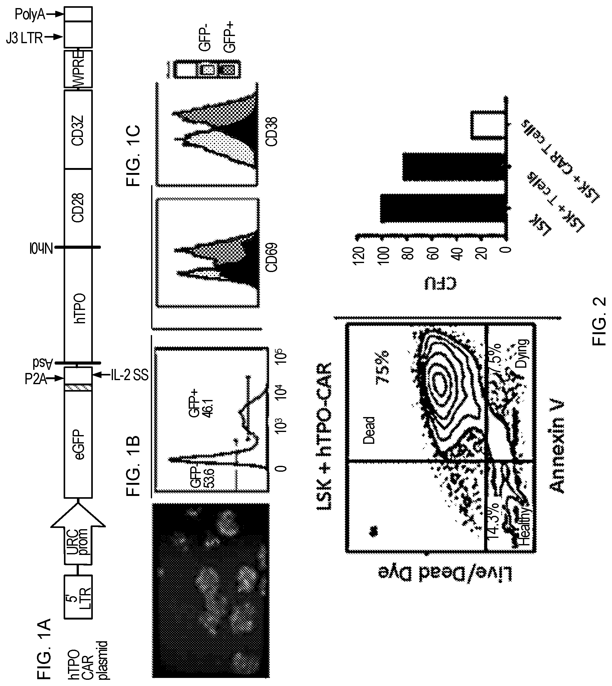 Patent US12551558 Figure 1 – Compositions and methods for promoting hematopoietic cell cytotoxicity