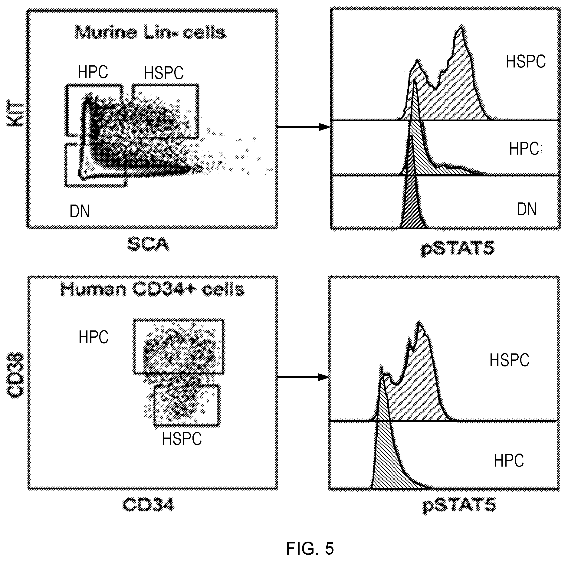 Patent US12551558 Figure 4 – Compositions and methods for promoting hematopoietic cell cytotoxicity