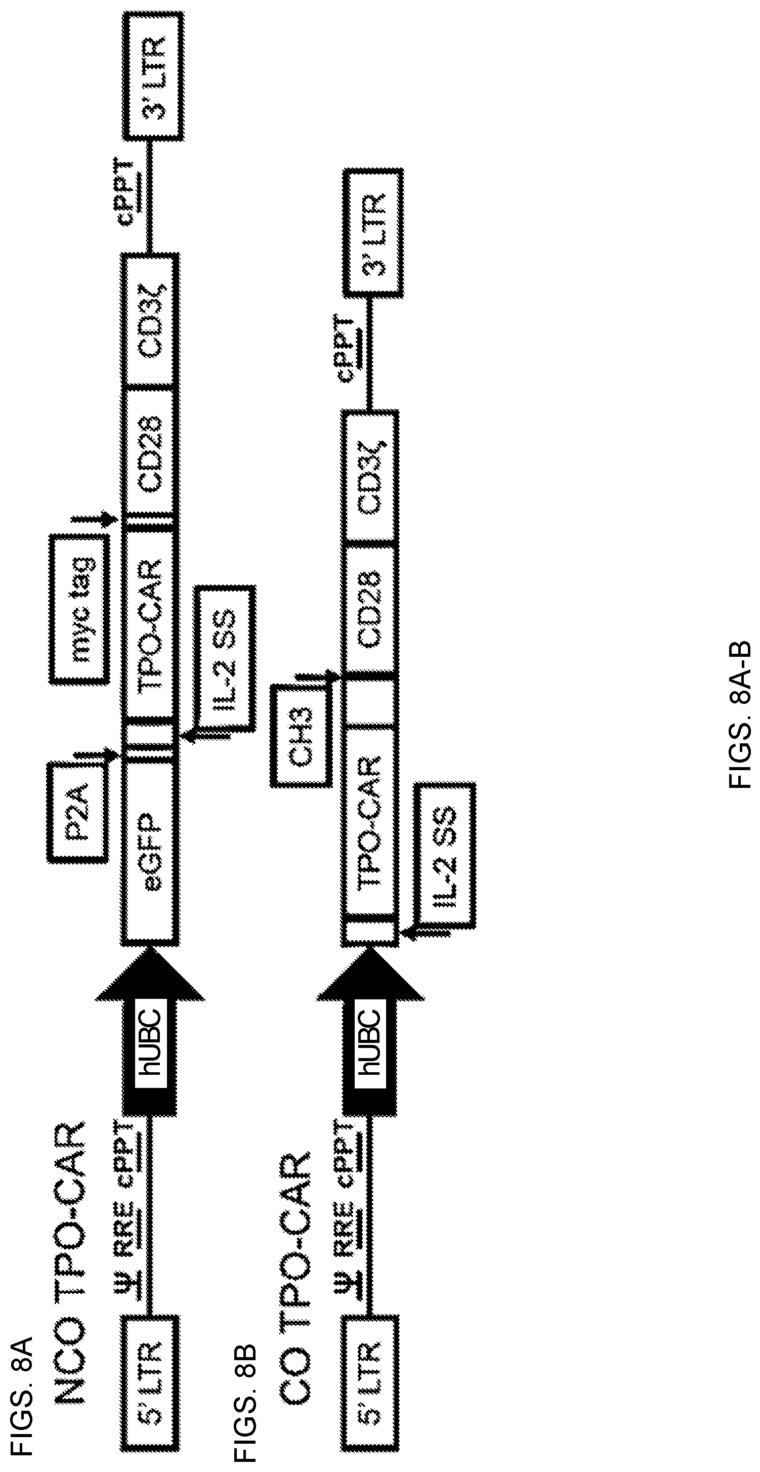 Patent US12551558 Figure 10 – Compositions and methods for promoting hematopoietic cell cytotoxicity