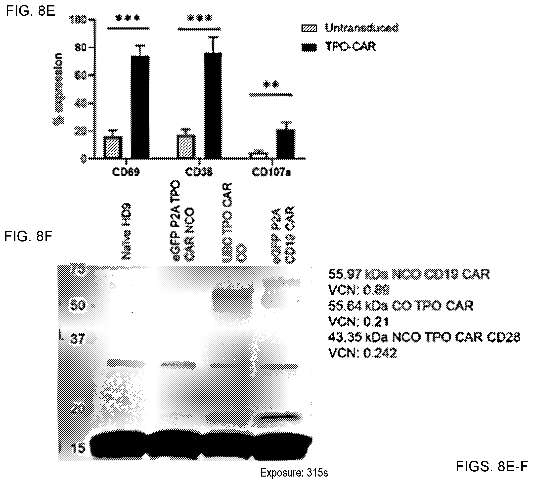 Patent US12551558 Figure 12 – Compositions and methods for promoting hematopoietic cell cytotoxicity