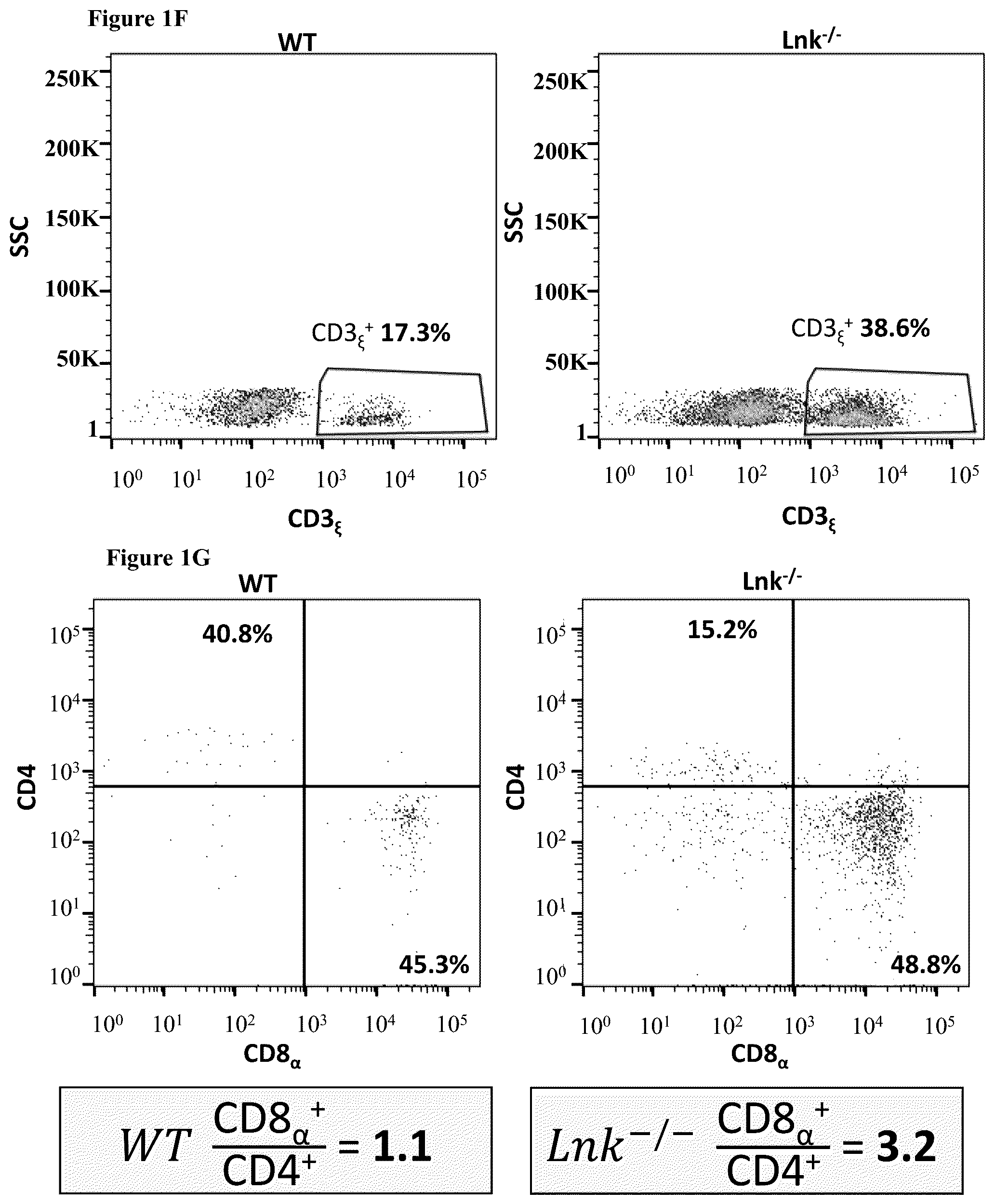 Patent US12551559 Figure 4 – Cells and methods for improved immunotherapy