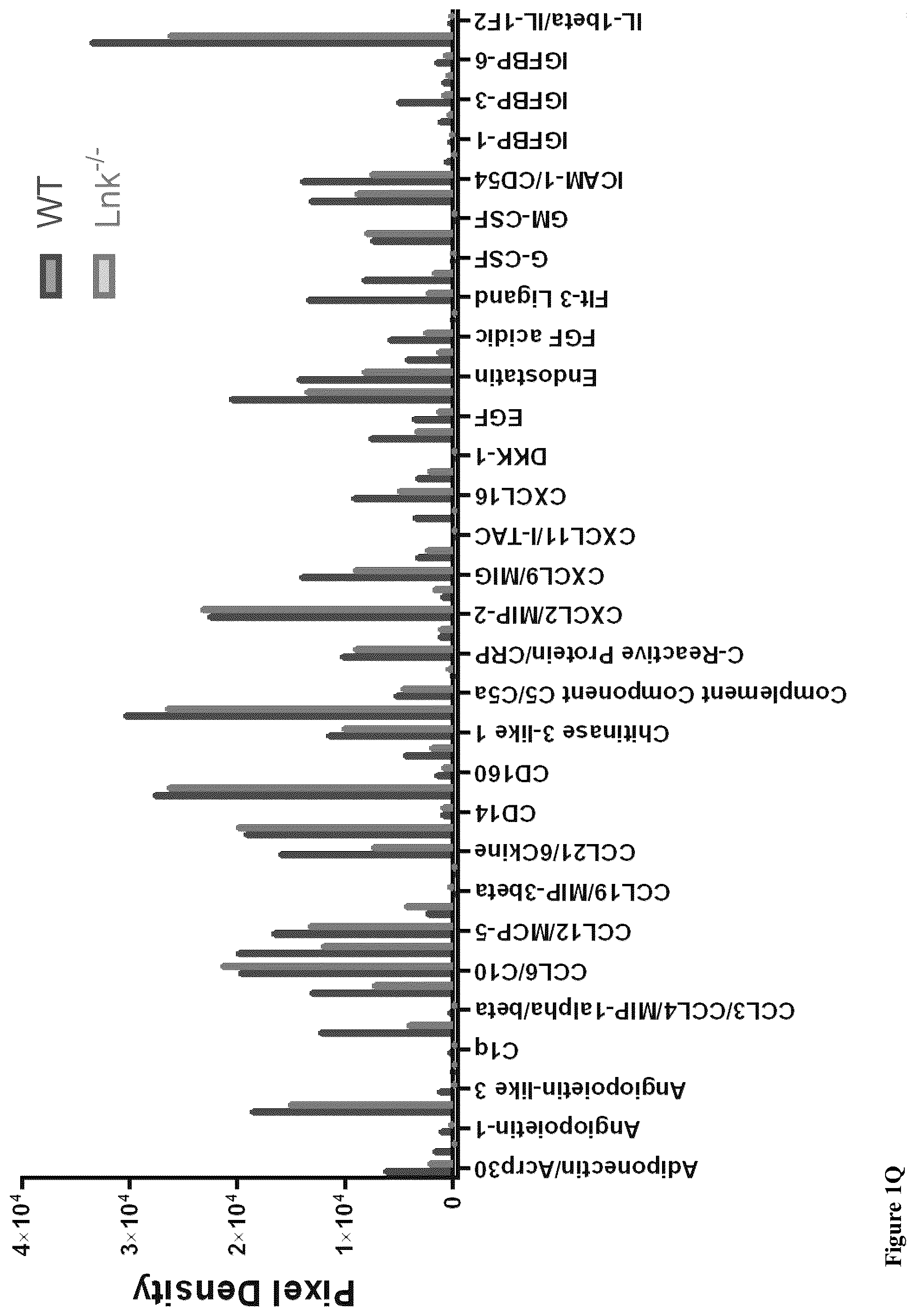 Patent US12551559 Figure 11 – Cells and methods for improved immunotherapy