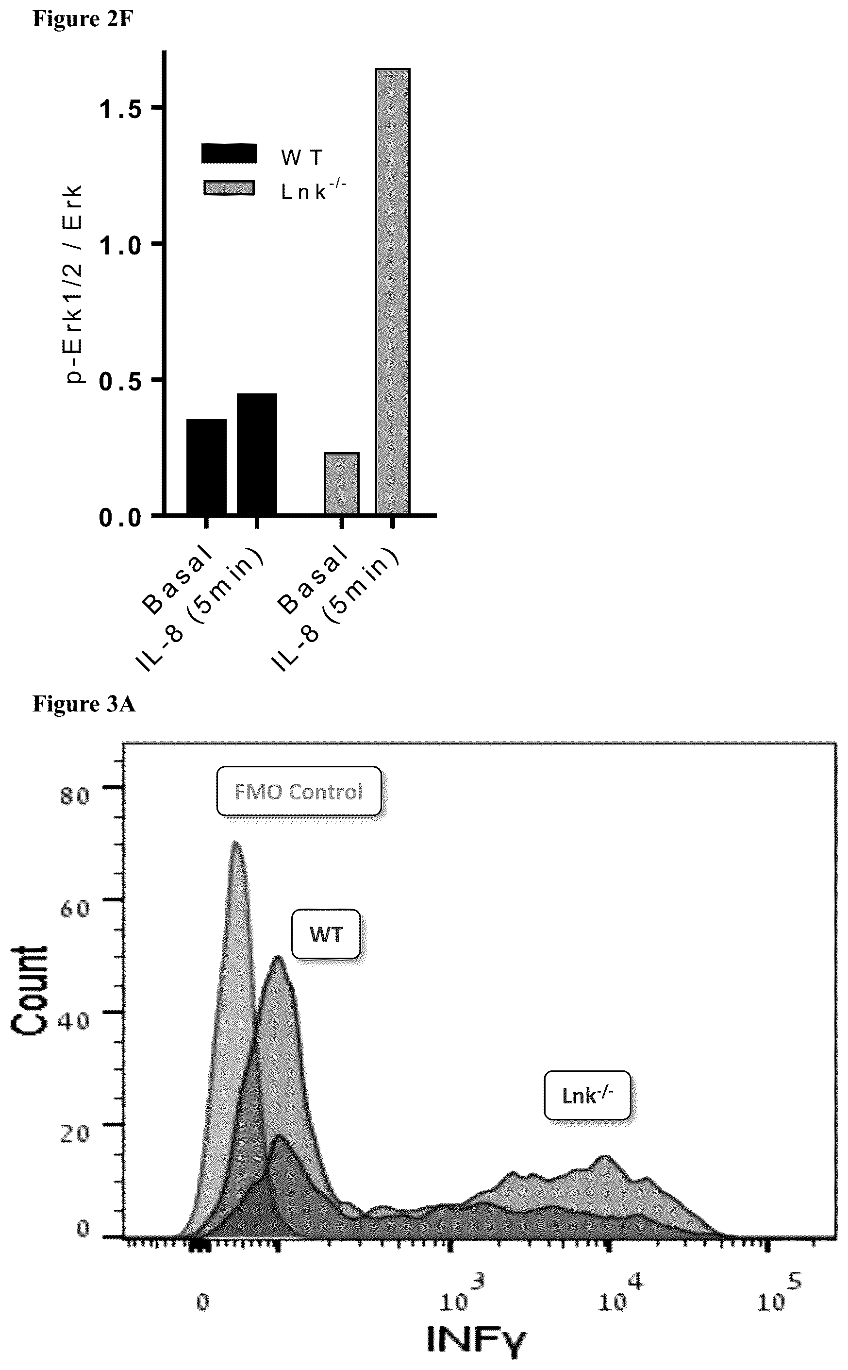 Patent US12551559 Figure 16 – Cells and methods for improved immunotherapy