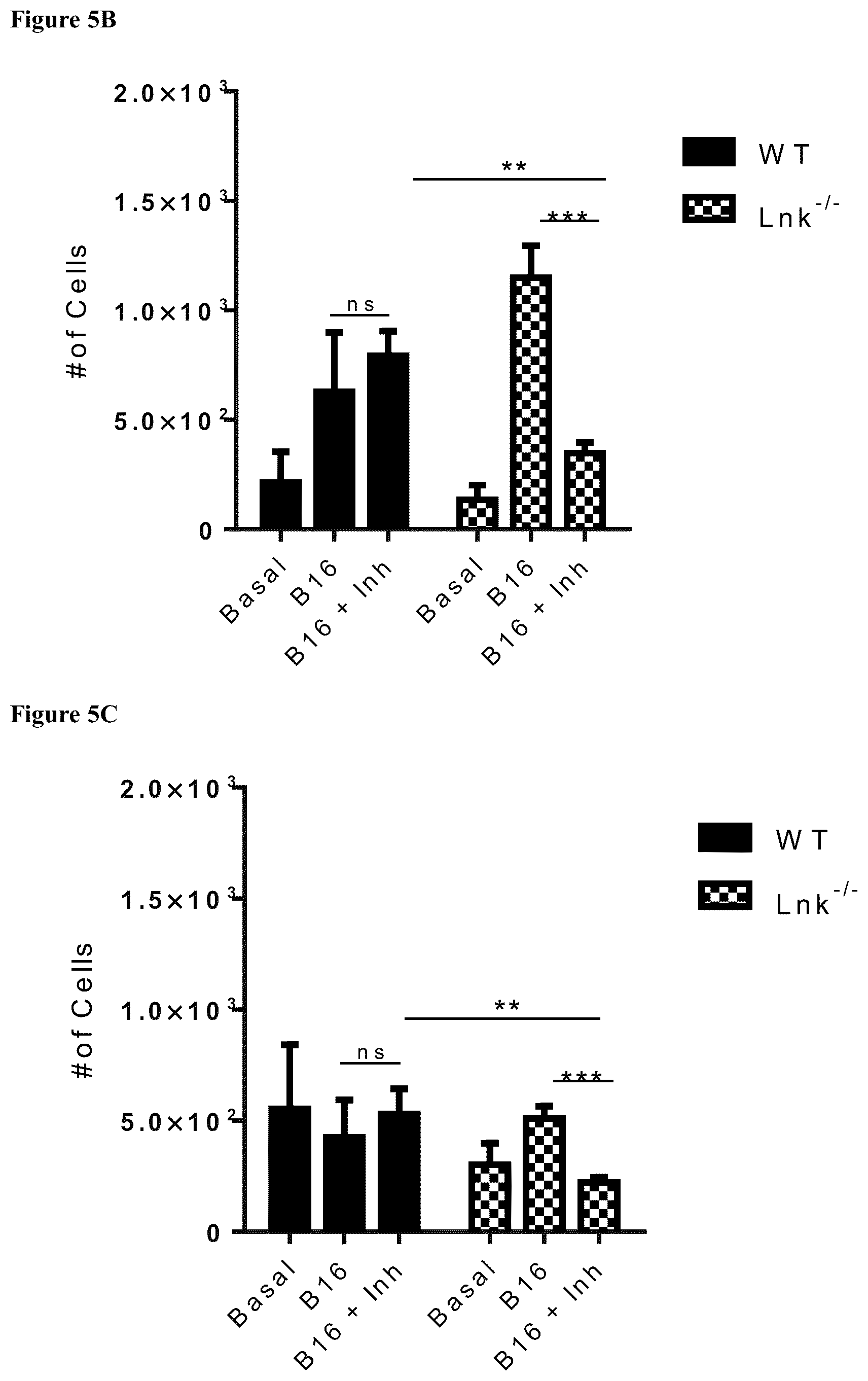 Patent US12551559 Figure 19 – Cells and methods for improved immunotherapy