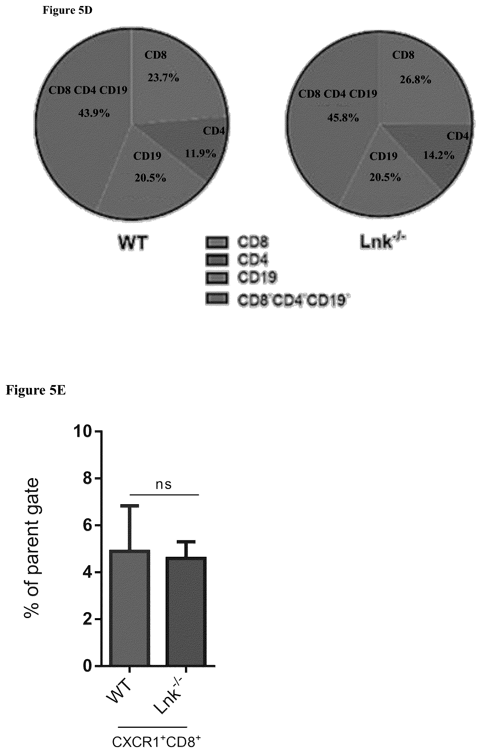 Patent US12551559 Figure 20 – Cells and methods for improved immunotherapy