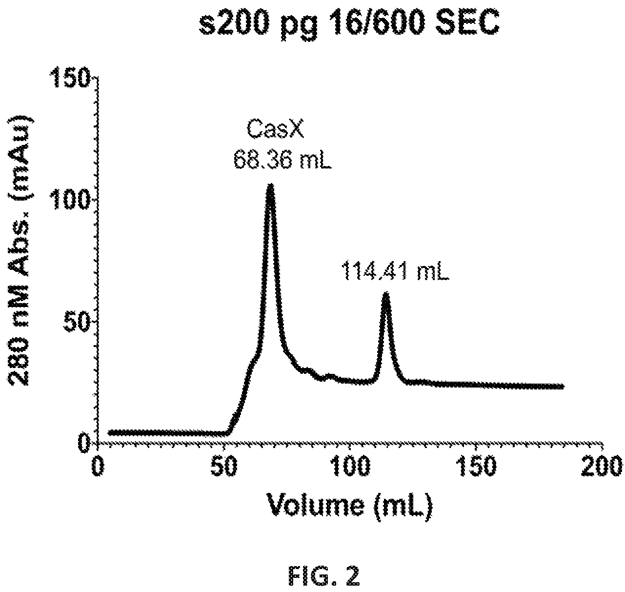 Patent US12551560 Figure 2 – Compositions and methods for use in immunotherapy