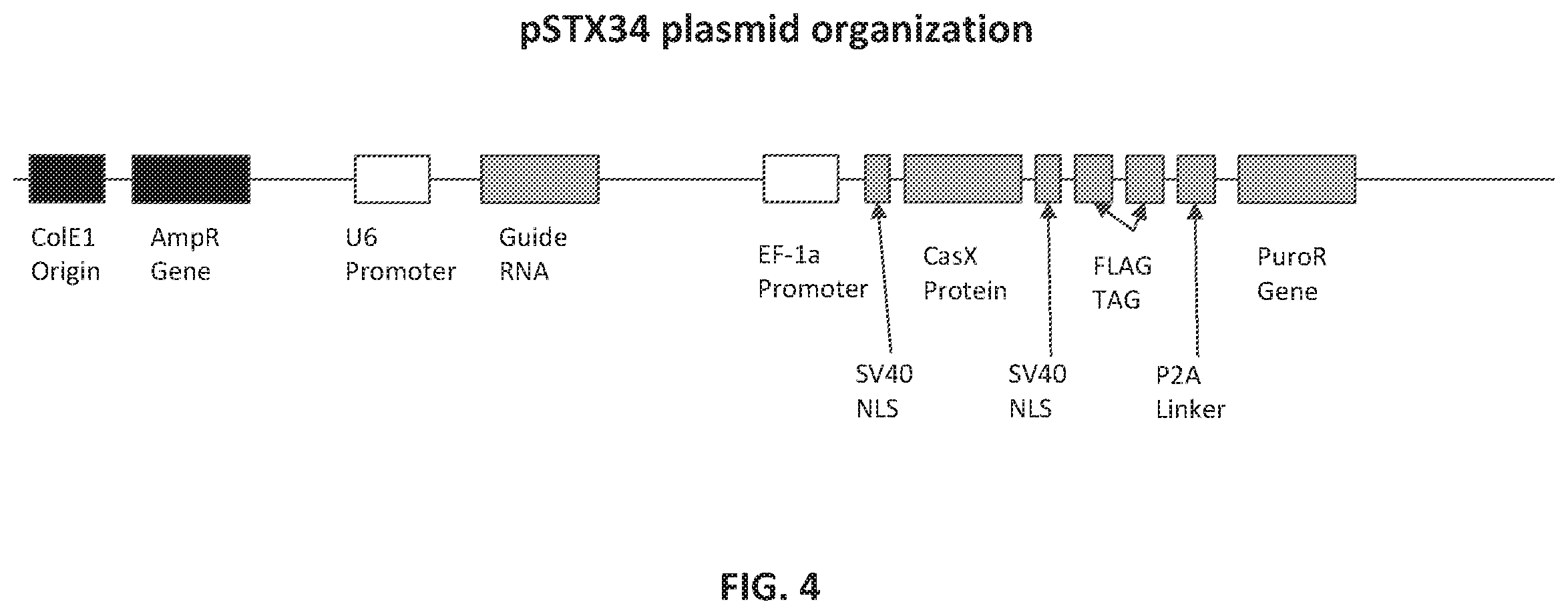 Patent US12551560 Figure 4 – Compositions and methods for use in immunotherapy