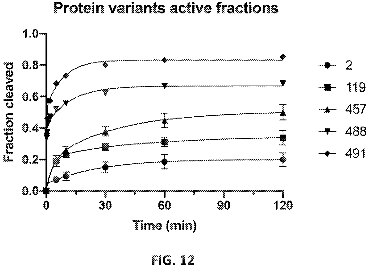 Patent US12551560 Figure 12 – Compositions and methods for use in immunotherapy
