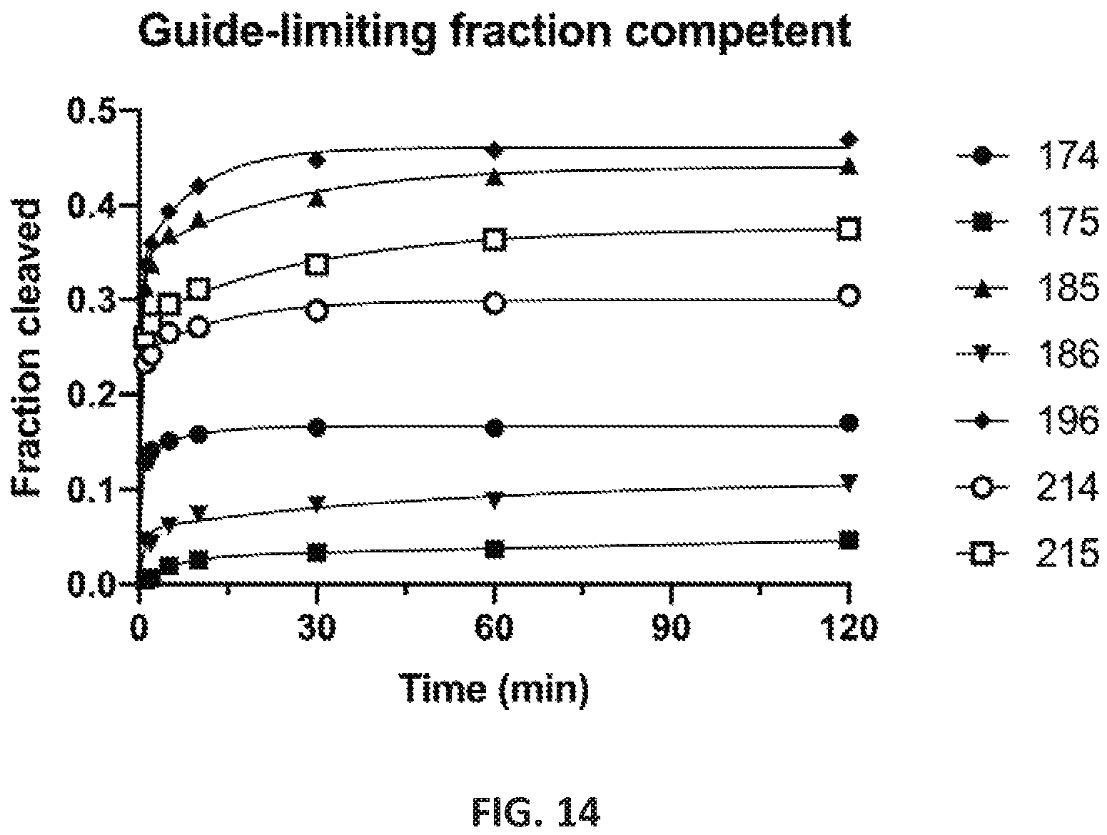 Patent US12551560 Figure 14 – Compositions and methods for use in immunotherapy