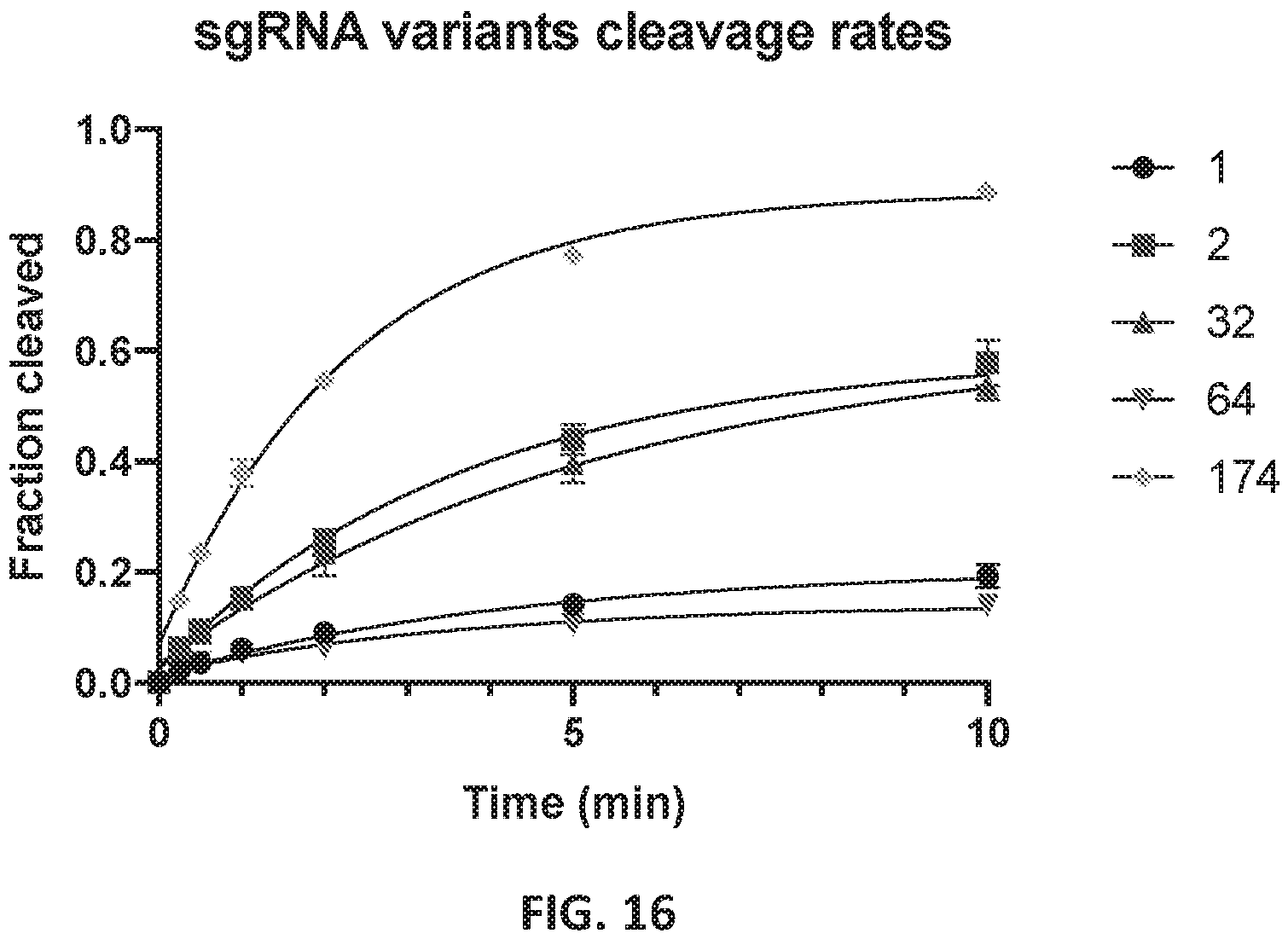 Patent US12551560 Figure 16 – Compositions and methods for use in immunotherapy