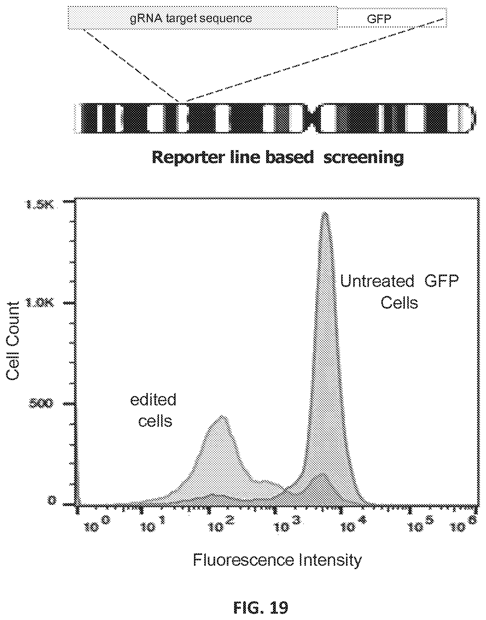 Patent US12551560 Figure 19 – Compositions and methods for use in immunotherapy