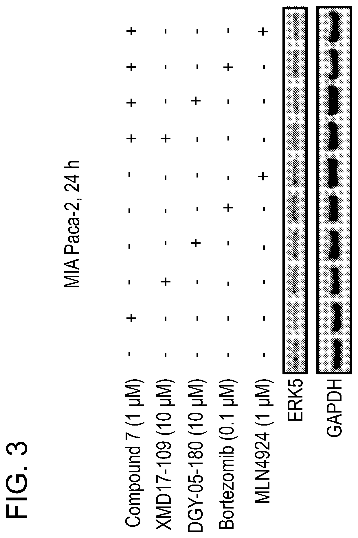 Patent US12551563 Figure 3 – ERK5 degraders as therapeutics in cancer and inflammatory diseases
