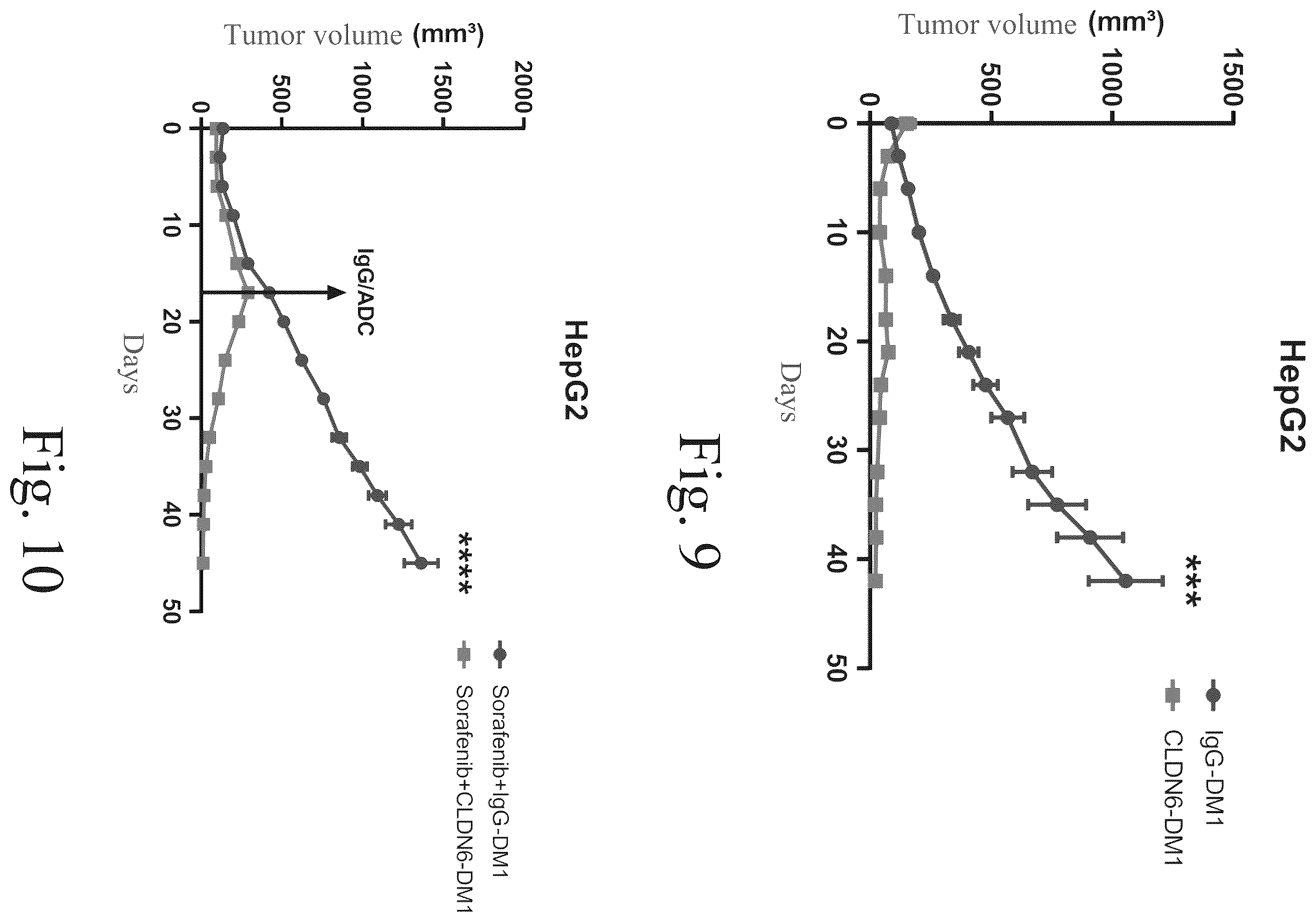 Patent US12551568 Figure 6 – Anti-claudin 6 antibody and antibody-drug conjugate