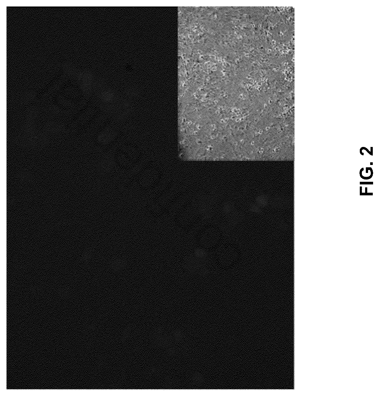 Patent US12551572 Figure 2 – Modified viral particles for gene therapy