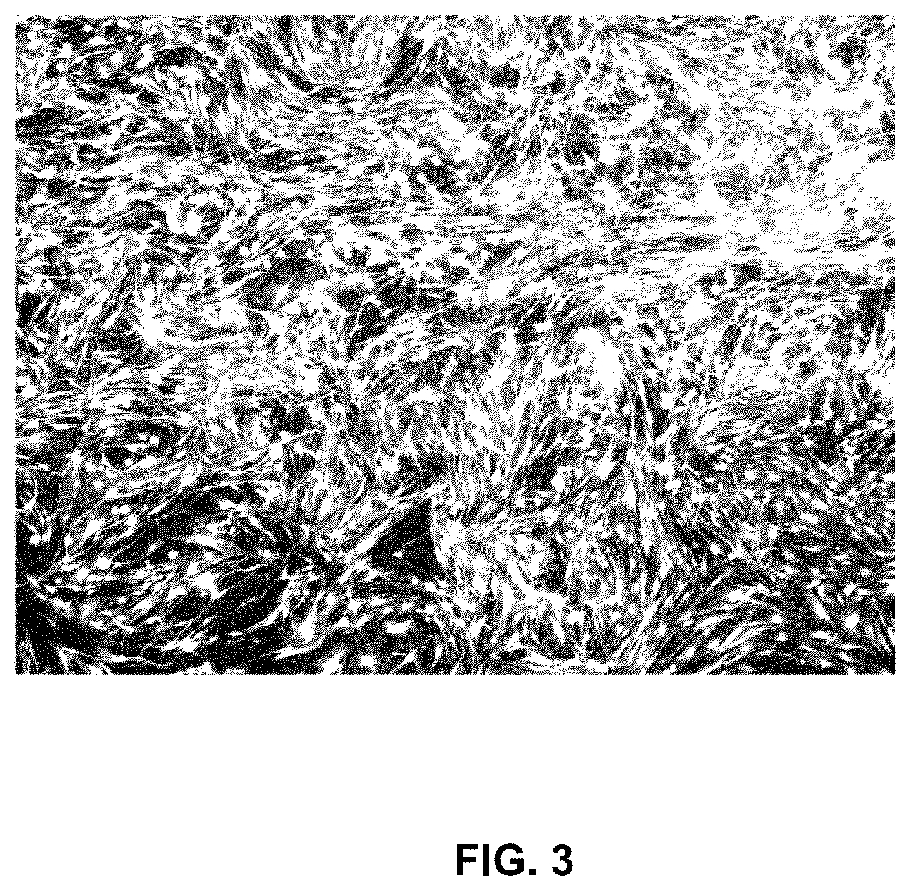 Patent US12551572 Figure 3 – Modified viral particles for gene therapy