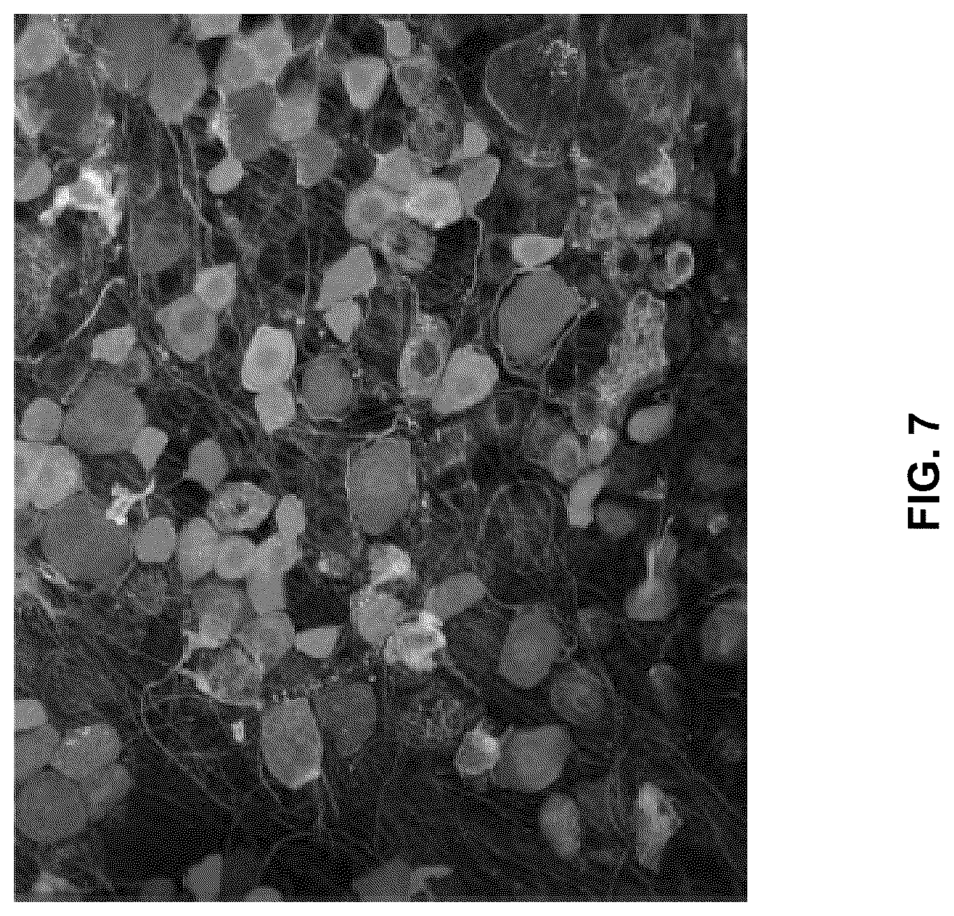 Patent US12551572 Figure 7 – Modified viral particles for gene therapy