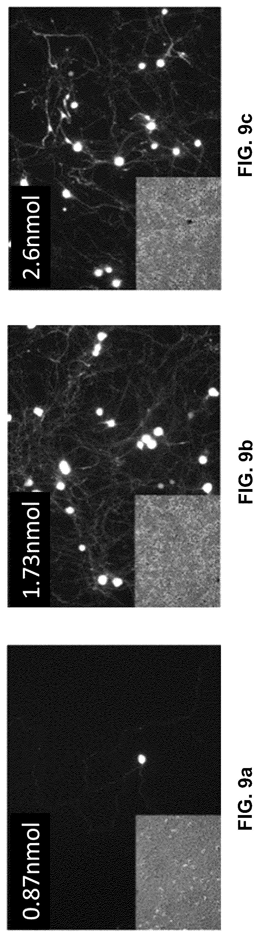 Patent US12551572 Figure 9 – Modified viral particles for gene therapy
