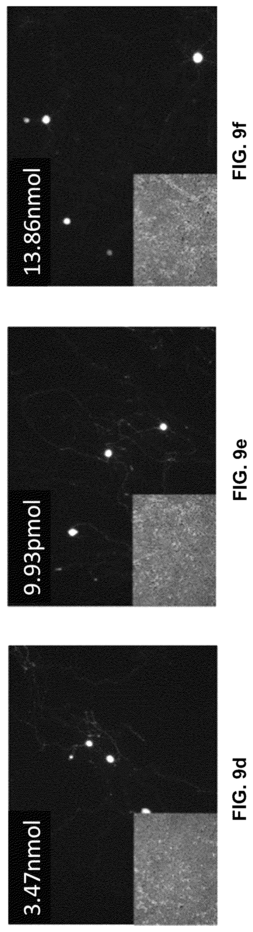 Patent US12551572 Figure 10 – Modified viral particles for gene therapy