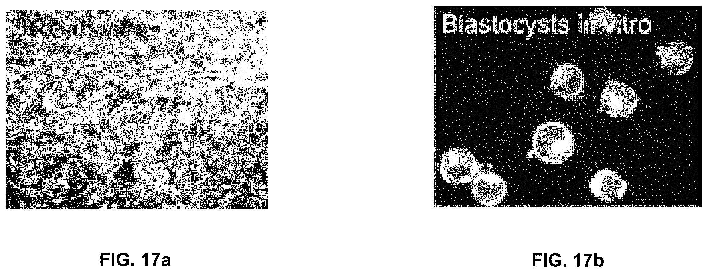 Patent US12551572 Figure 20 – Modified viral particles for gene therapy