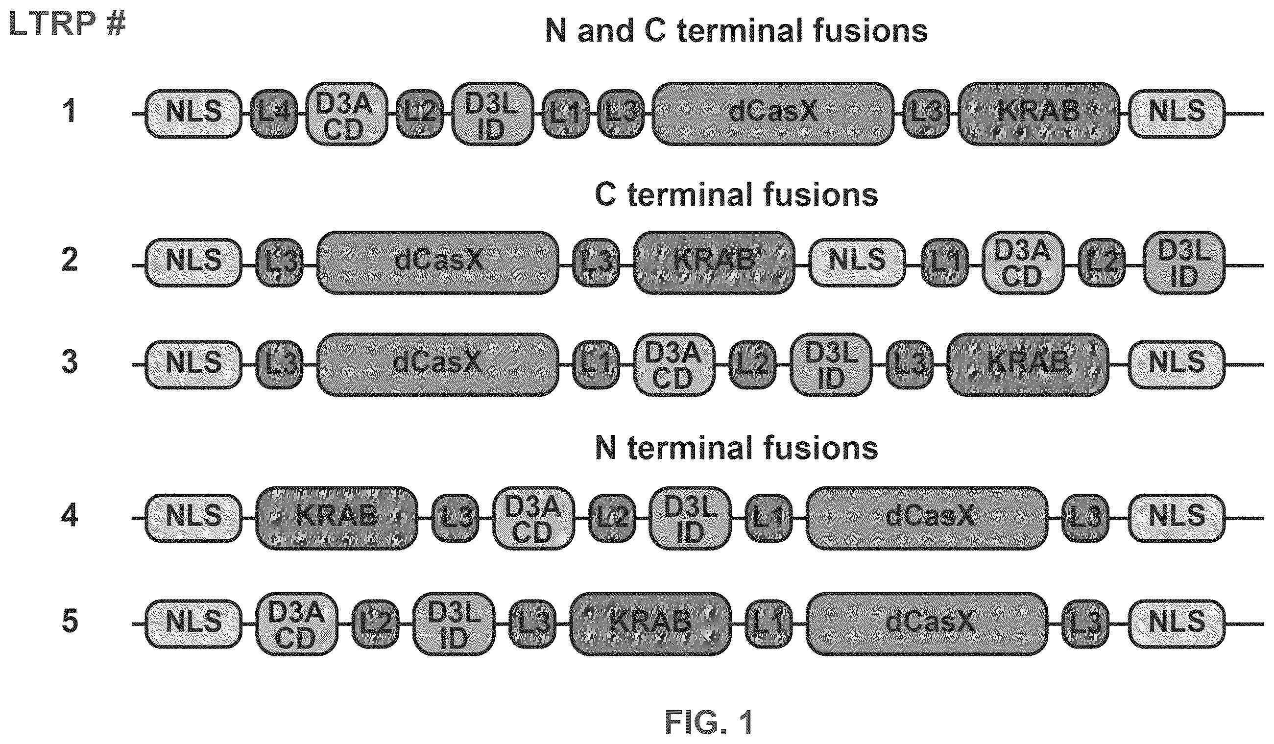 Patent US12551573 Figure 1 – Compositions and methods for the targeting of PCSK9
