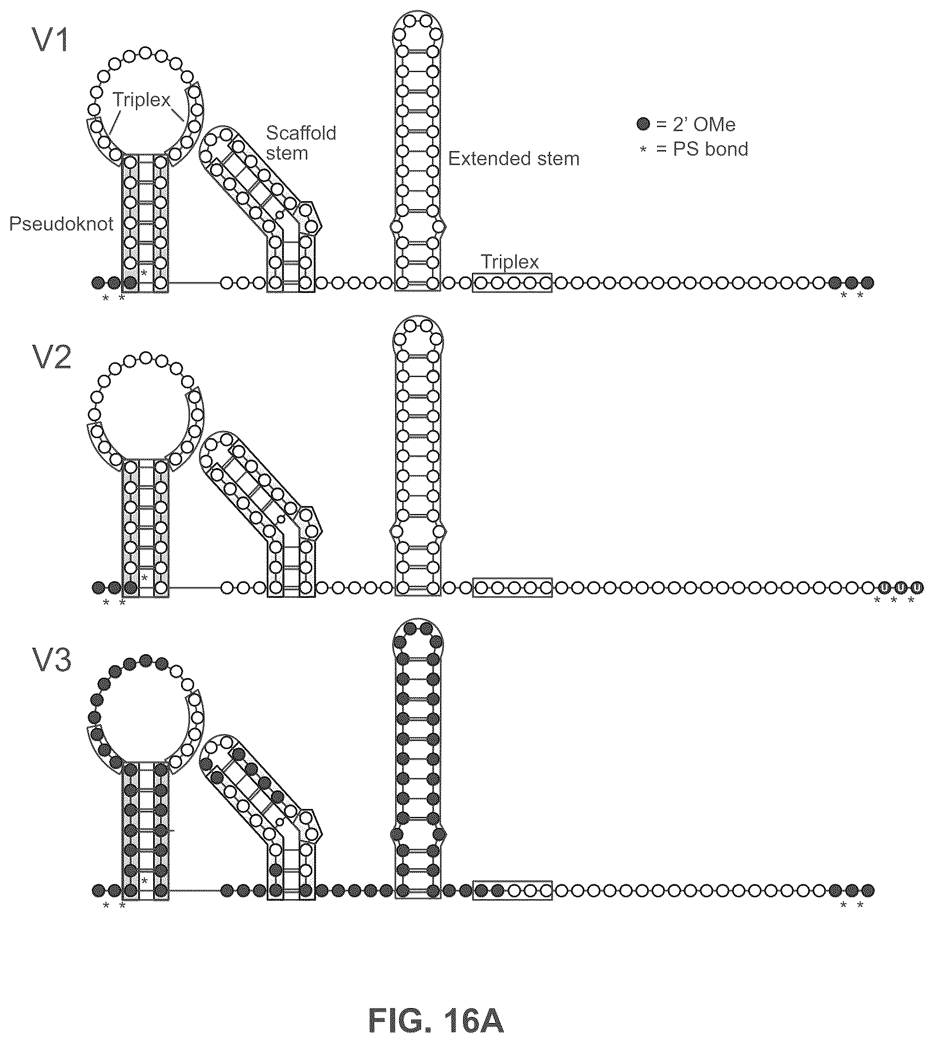 Patent US12551573 Figure 16 – Compositions and methods for the targeting of PCSK9