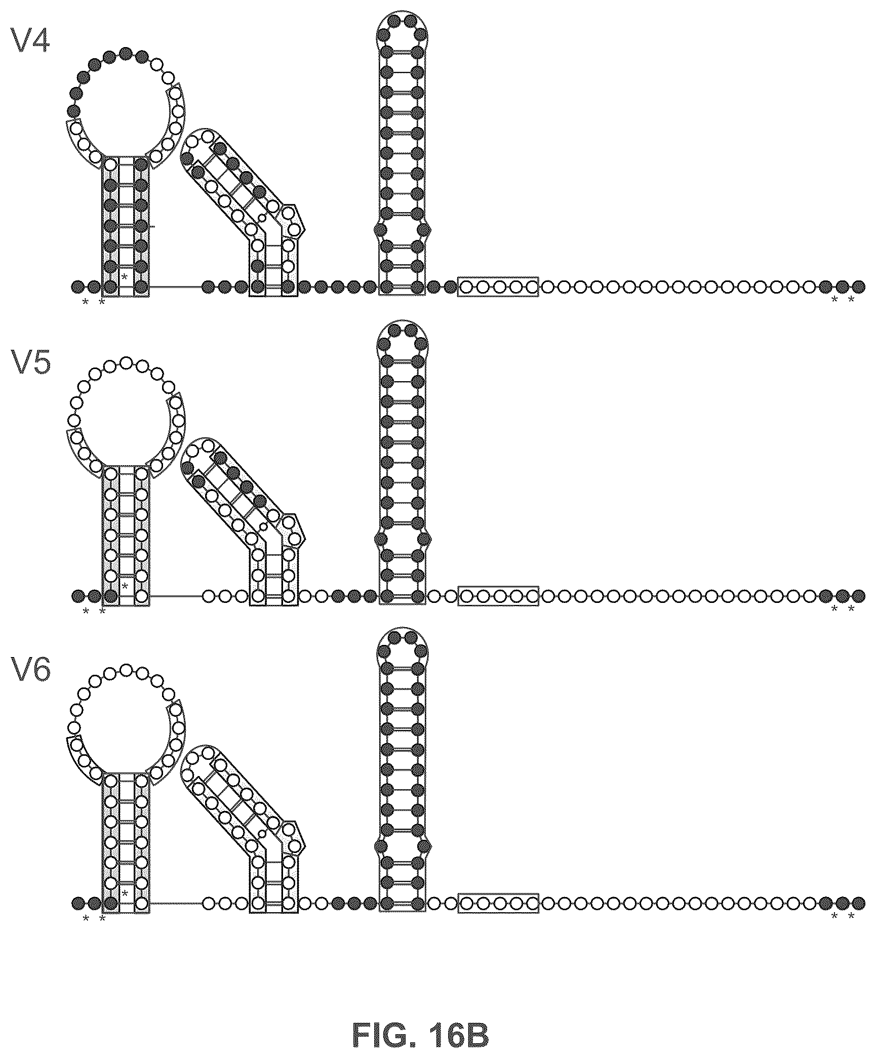 Patent US12551573 Figure 17 – Compositions and methods for the targeting of PCSK9