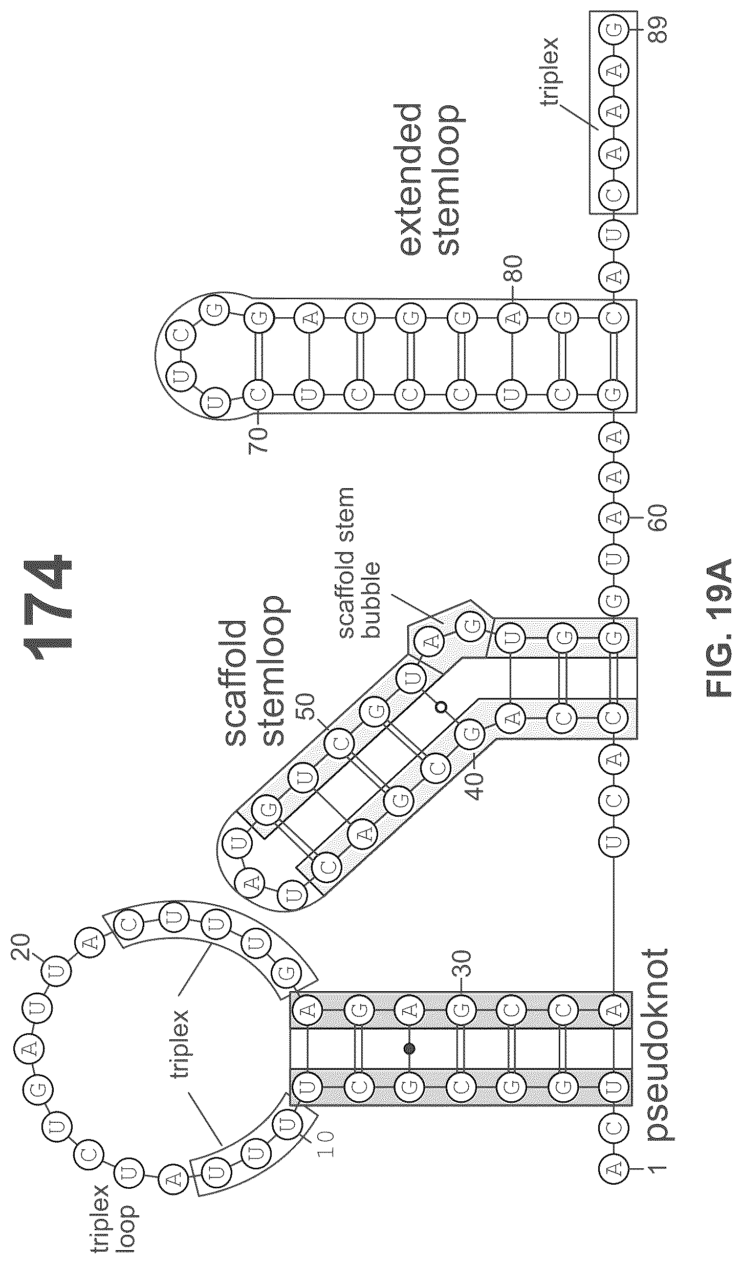 Patent US12551573 Figure 20 – Compositions and methods for the targeting of PCSK9