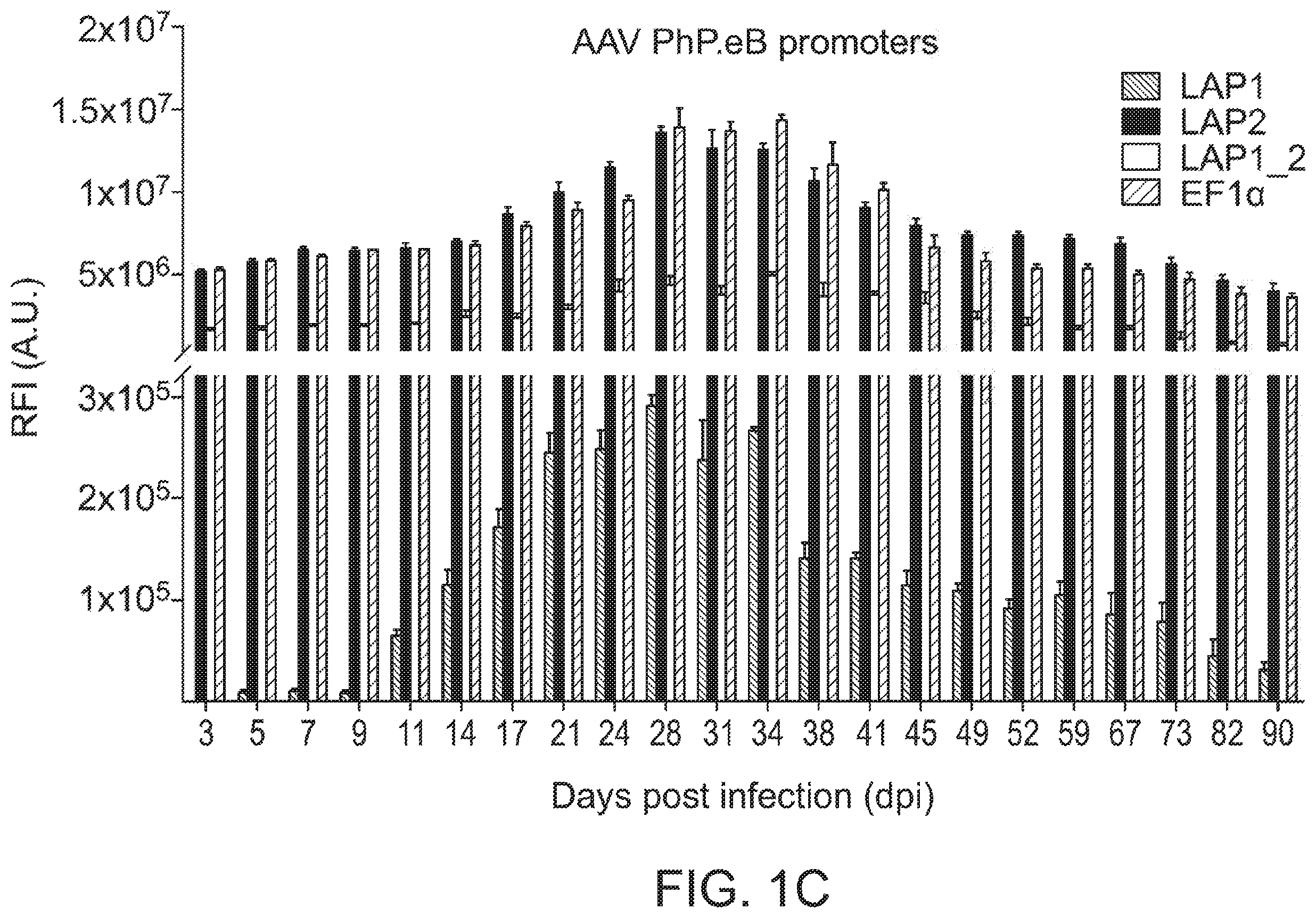 Patent US12551574 Figure 3 – Recombinant nucleic acids containing alphaherpesvirus promoter sequences