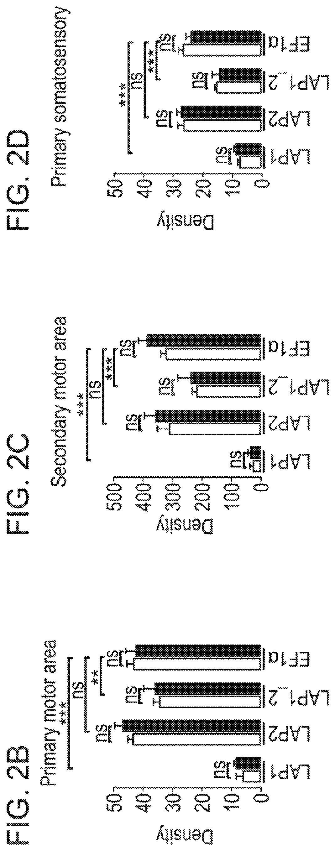 Patent US12551574 Figure 6 – Recombinant nucleic acids containing alphaherpesvirus promoter sequences