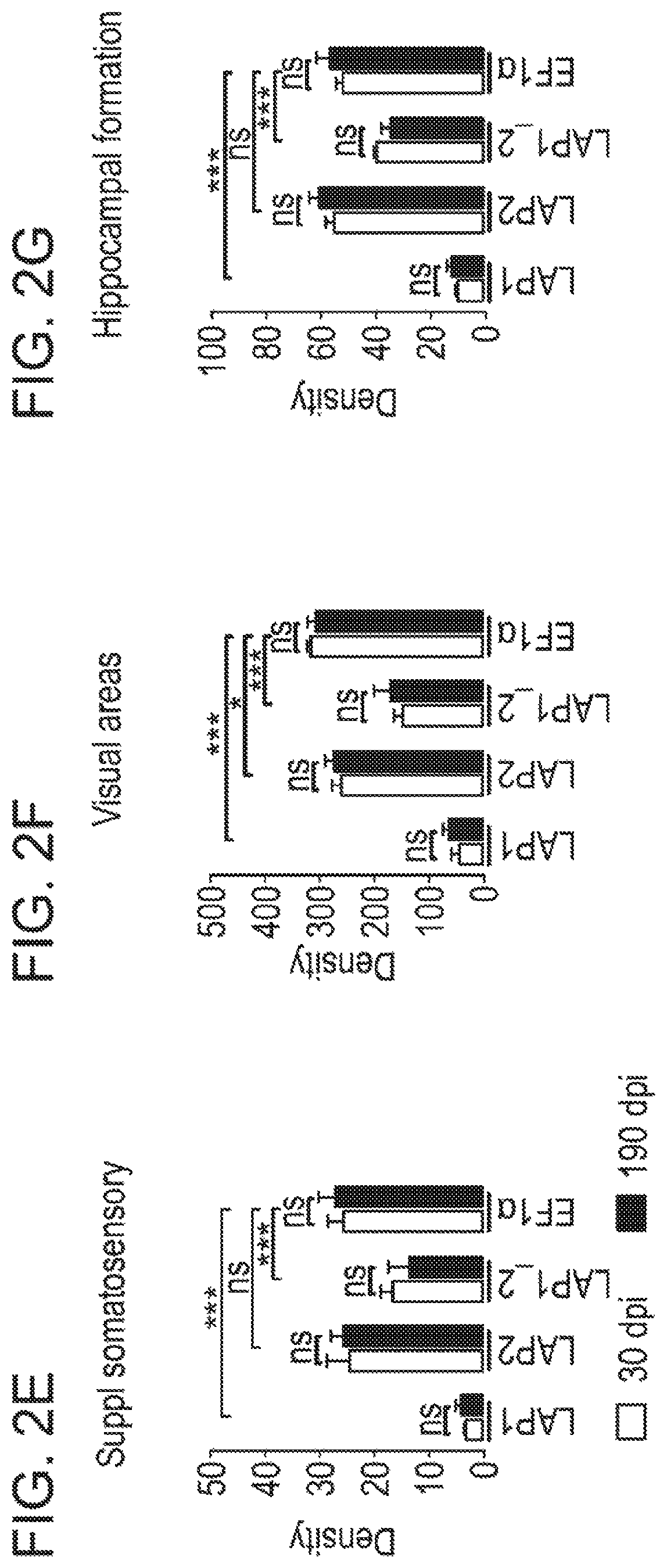 Patent US12551574 Figure 7 – Recombinant nucleic acids containing alphaherpesvirus promoter sequences
